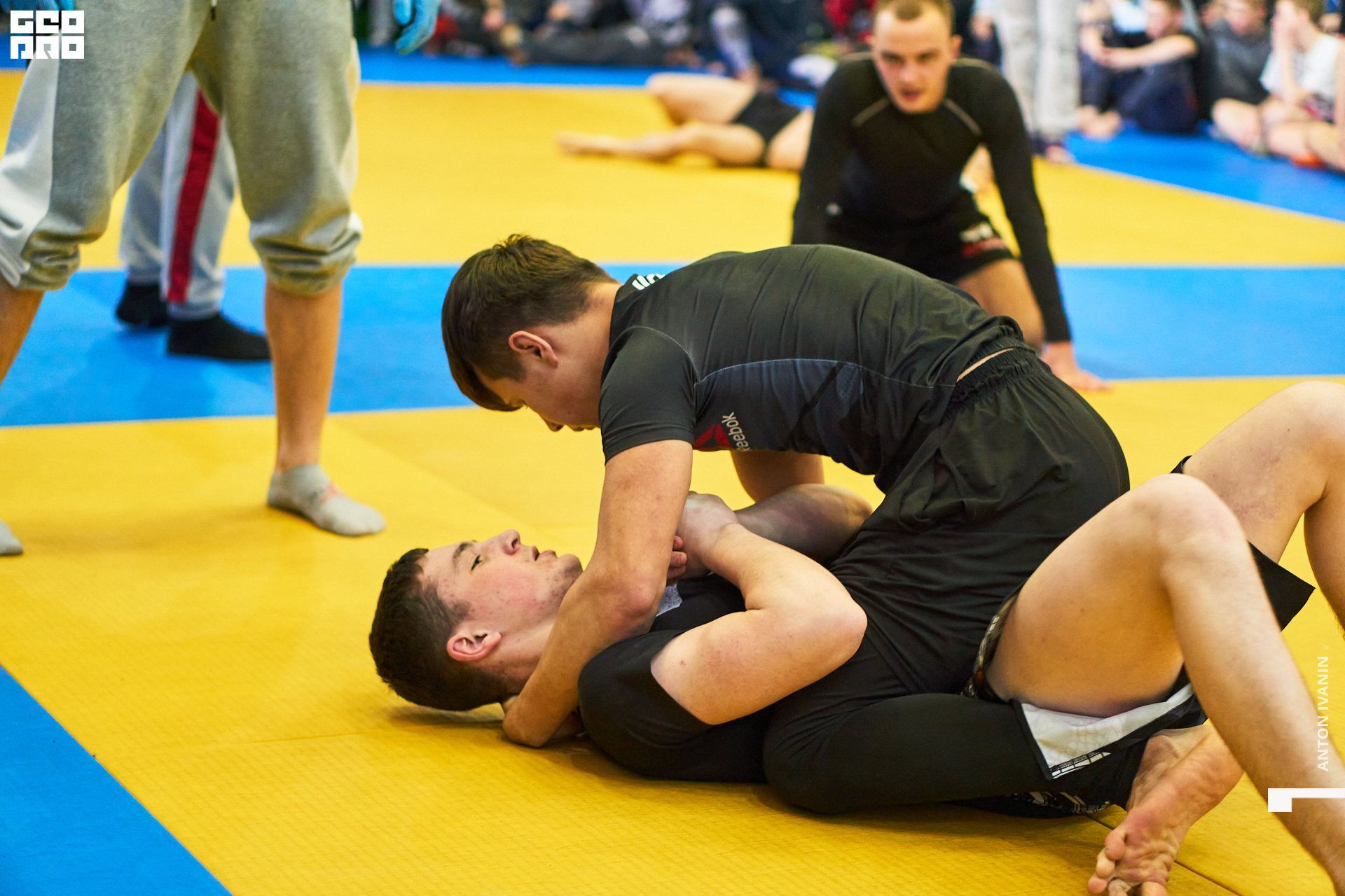 DSC08620 (Копировать).jpg