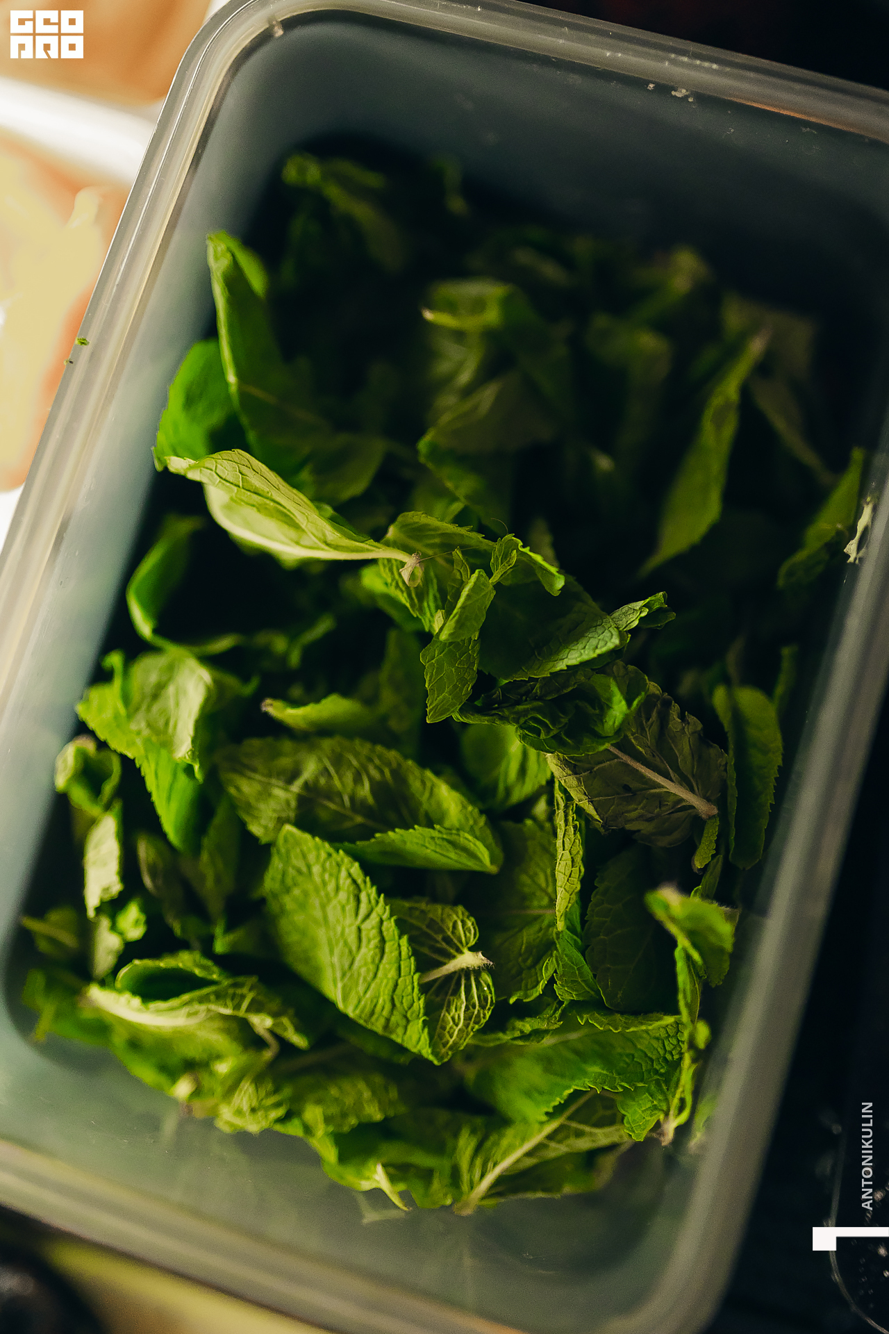 untitled shoot-9642.jpg