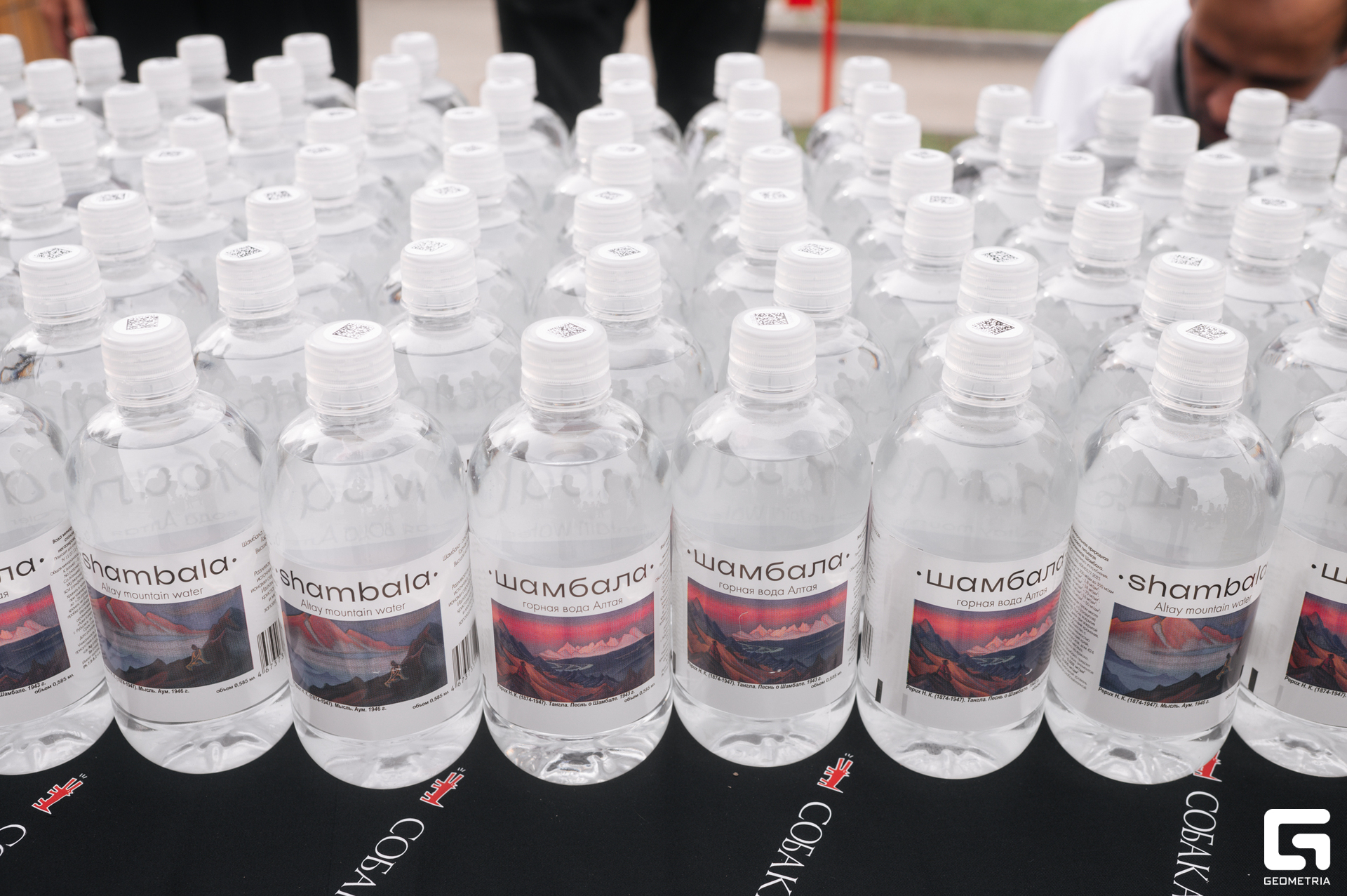 15-06-24 (2 из 783).jpg