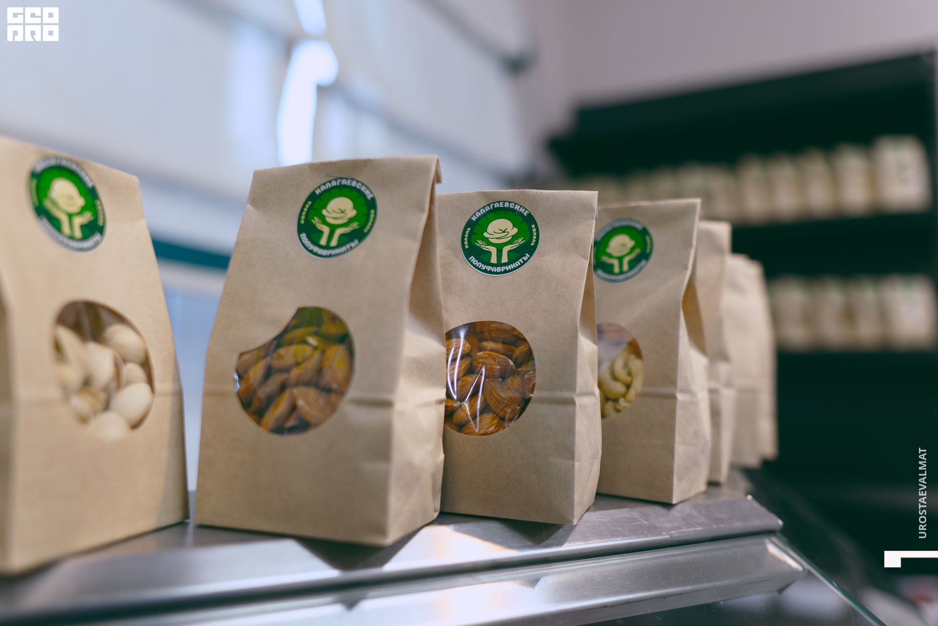 без имени-7.jpg