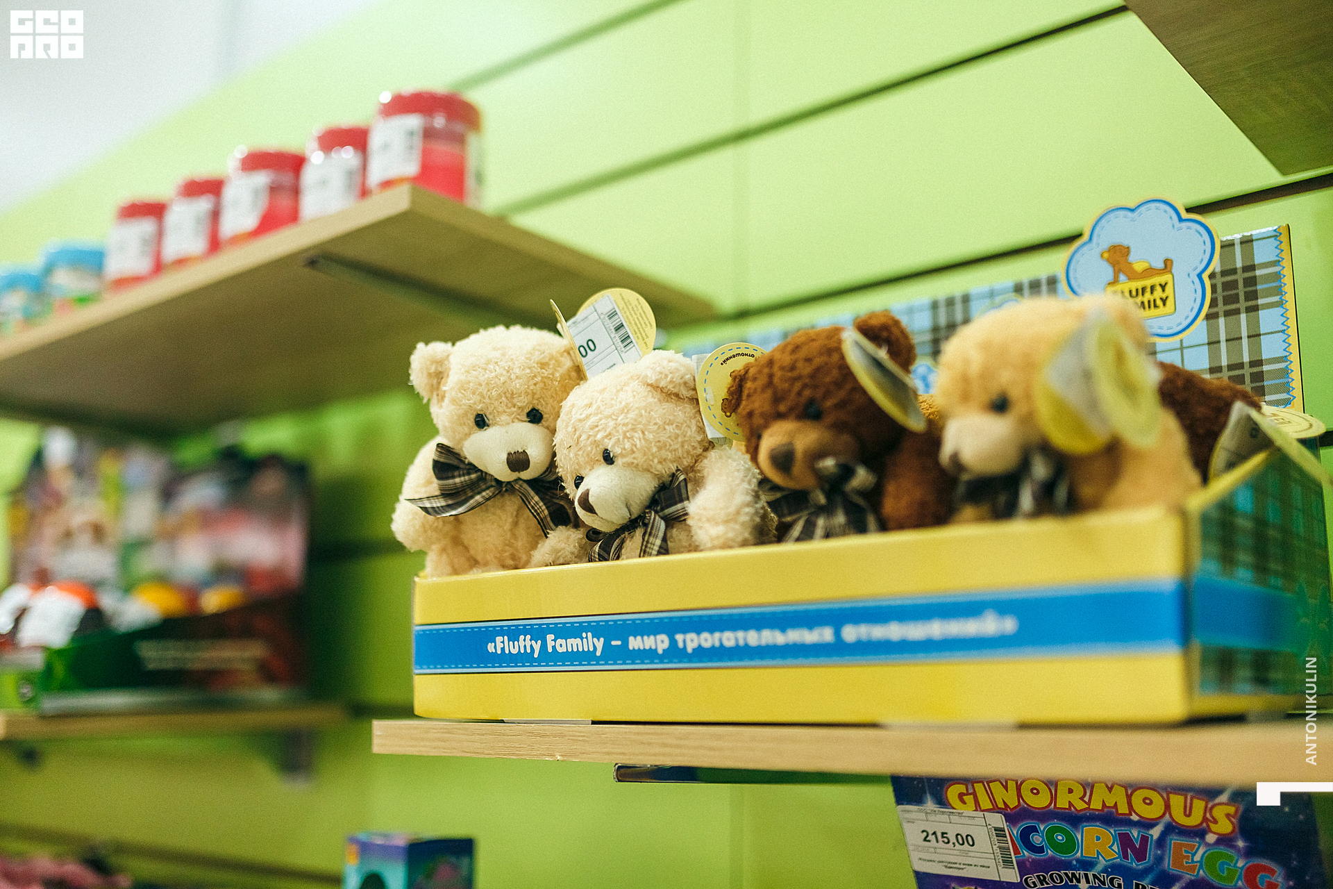 untitled shoot-6550.jpg