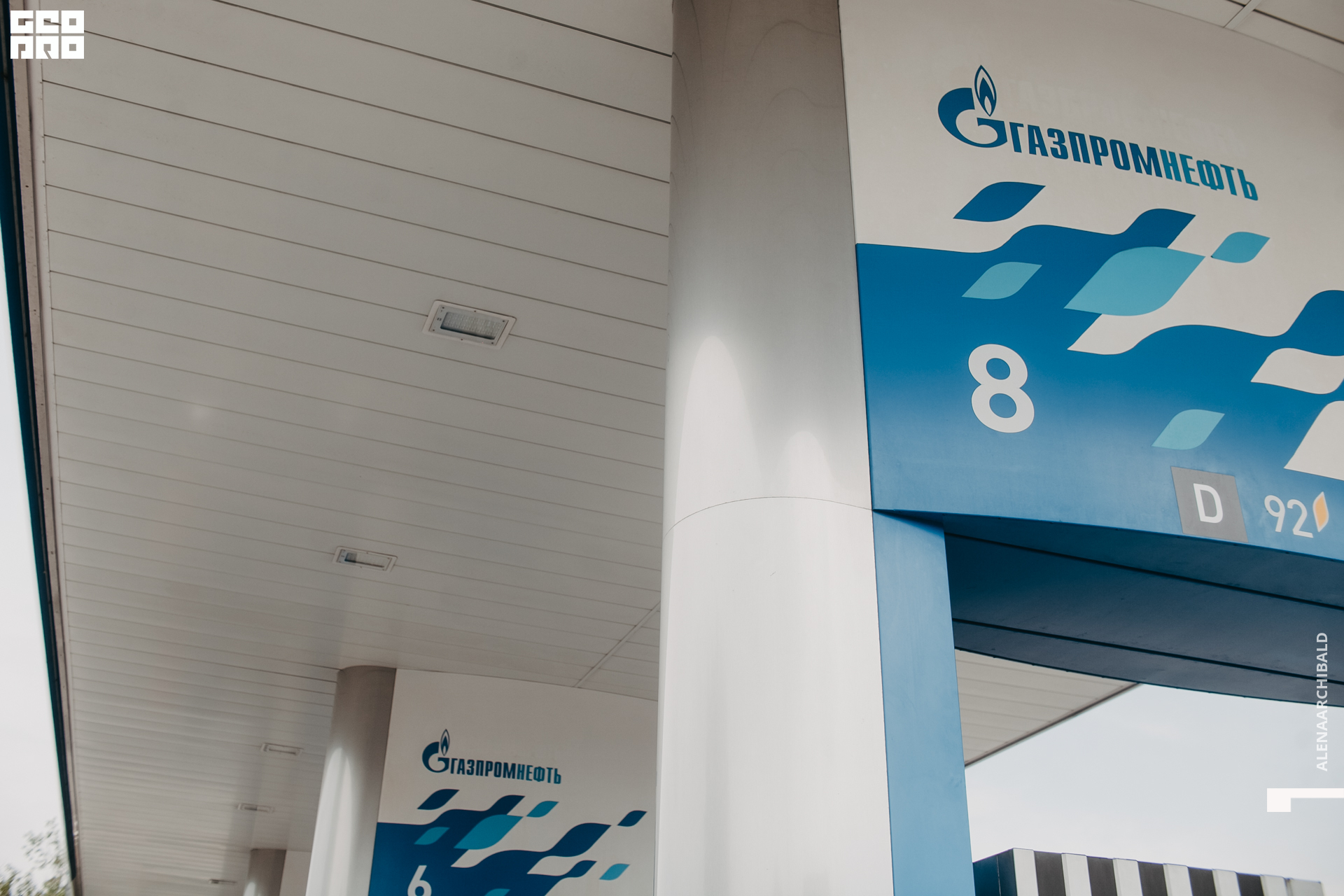 2021-06-26 15-38-00_alenaarchibald.JPG