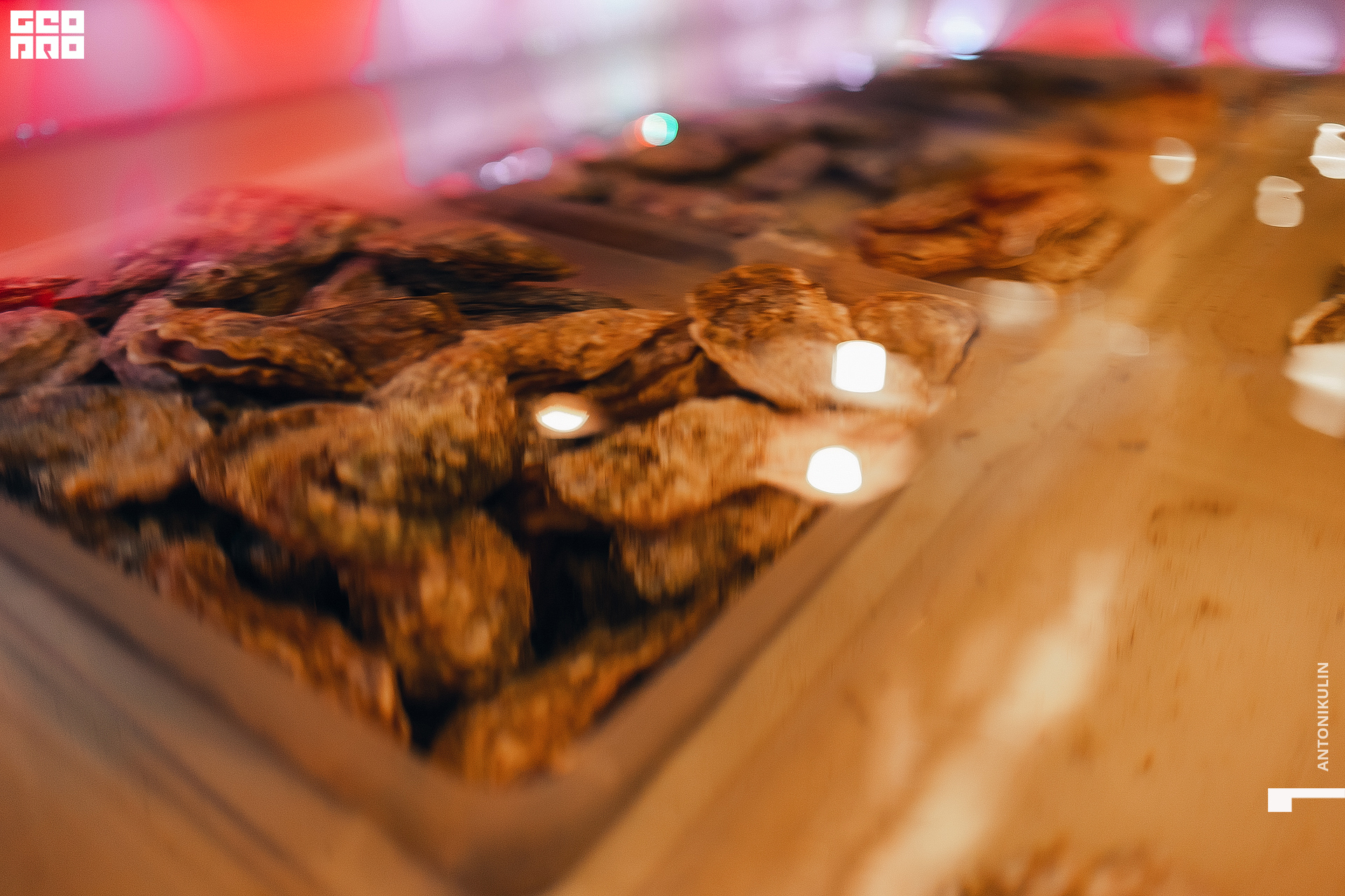 untitled shoot-3152.jpg