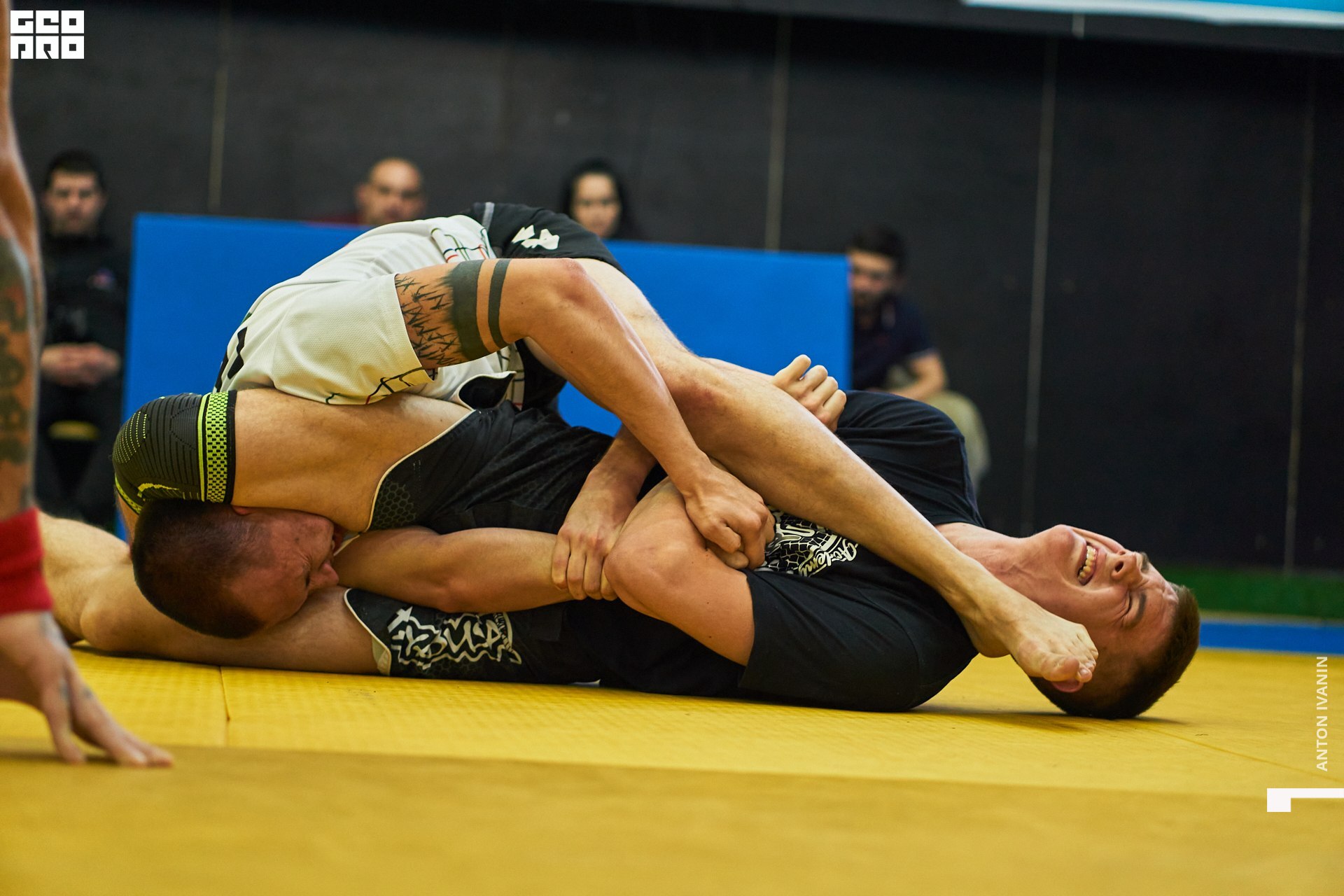 DSC09758 (Копировать).jpg