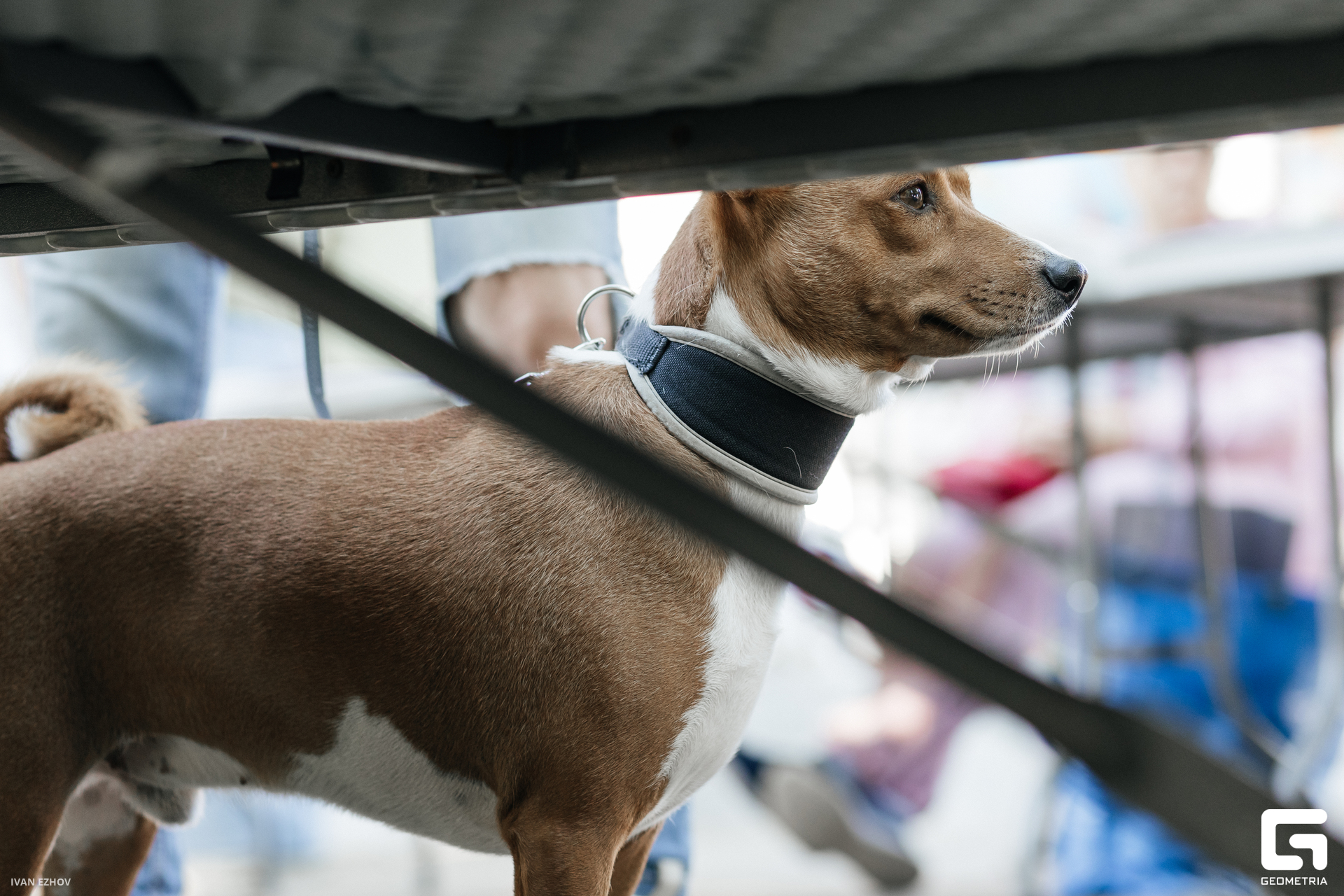 2023.07.22 Салют-73.jpg