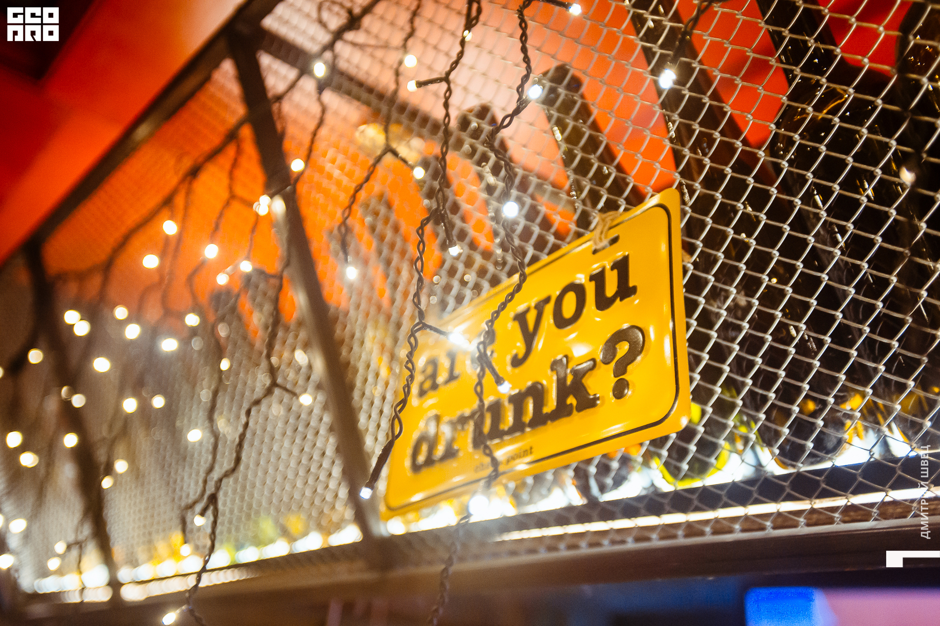 2021-12-15 19-36-42_Швец.jpg