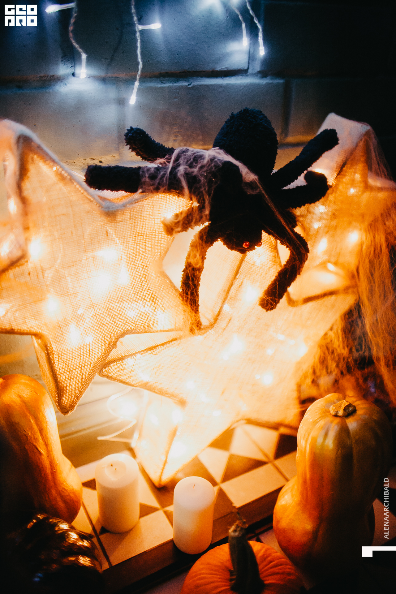 2021-10-30 21-58-47_alenaarchibald015.JPG