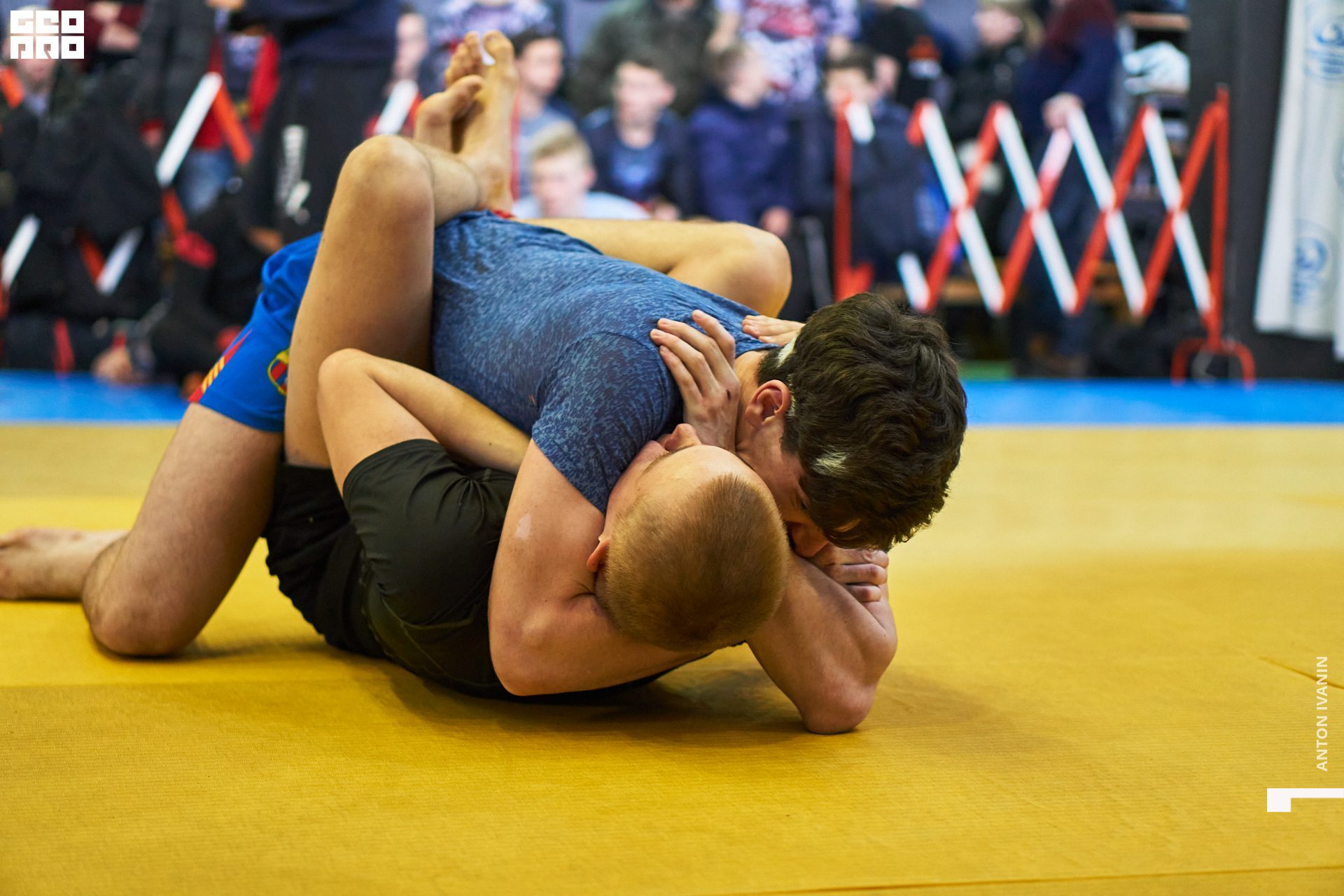 DSC09125 (Копировать).jpg