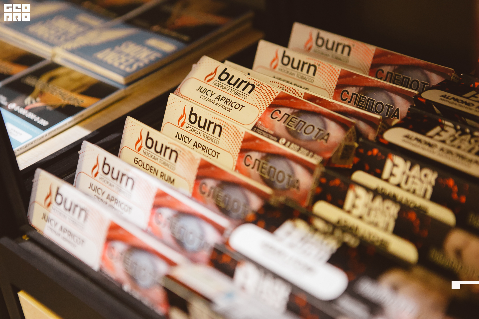 156 211010  204441 _ale_romanova.jpg