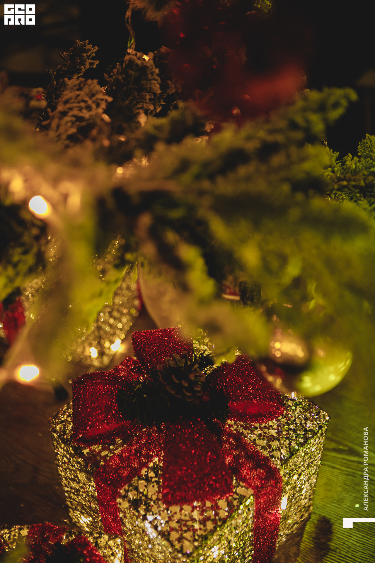 085   122622  001442 .jpg