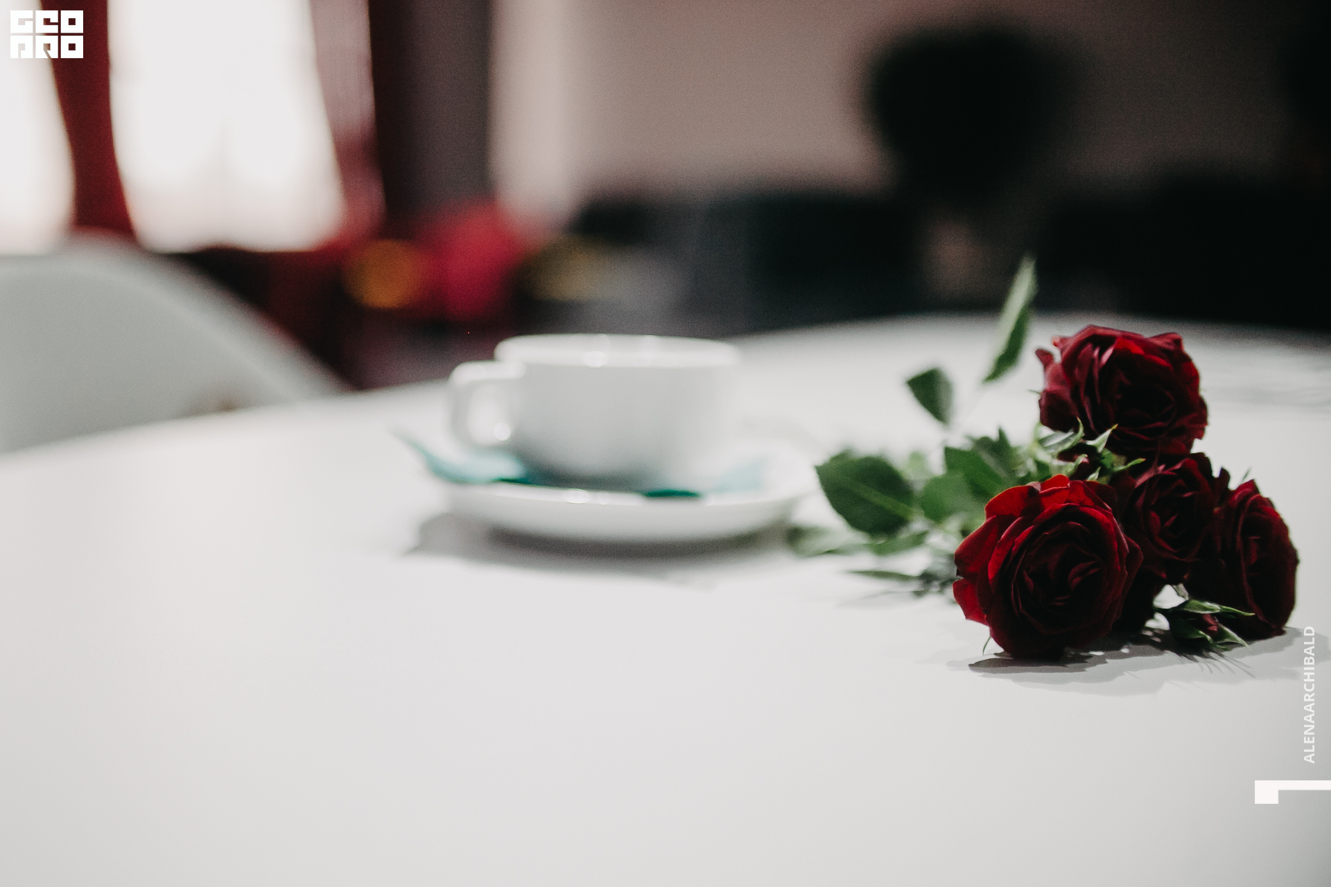 2020-11-27 12-09-43_alenaarchibald_014.JPG