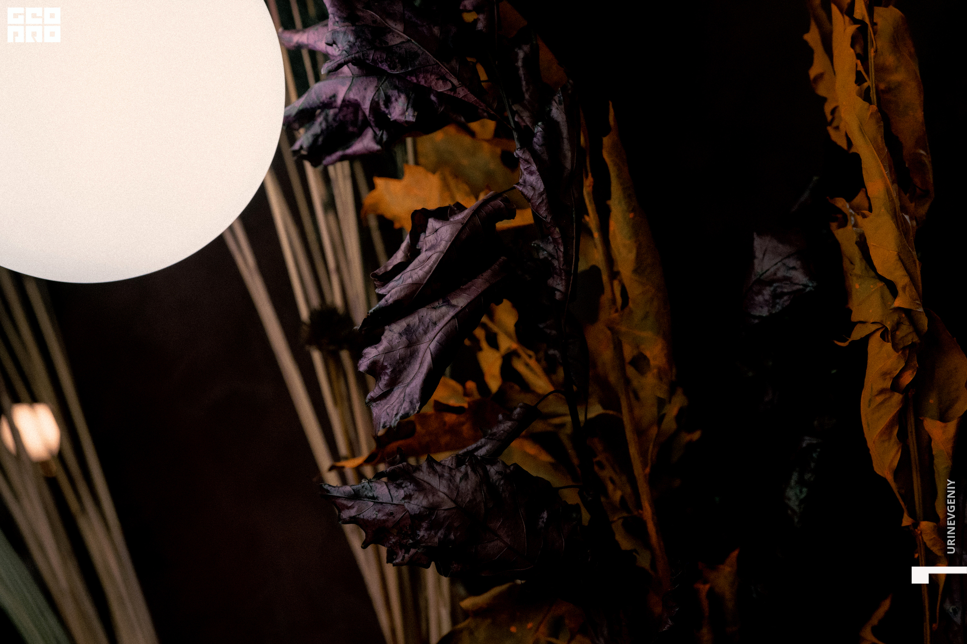 17.12.2020. Хлеб Да Винчик (140).jpg