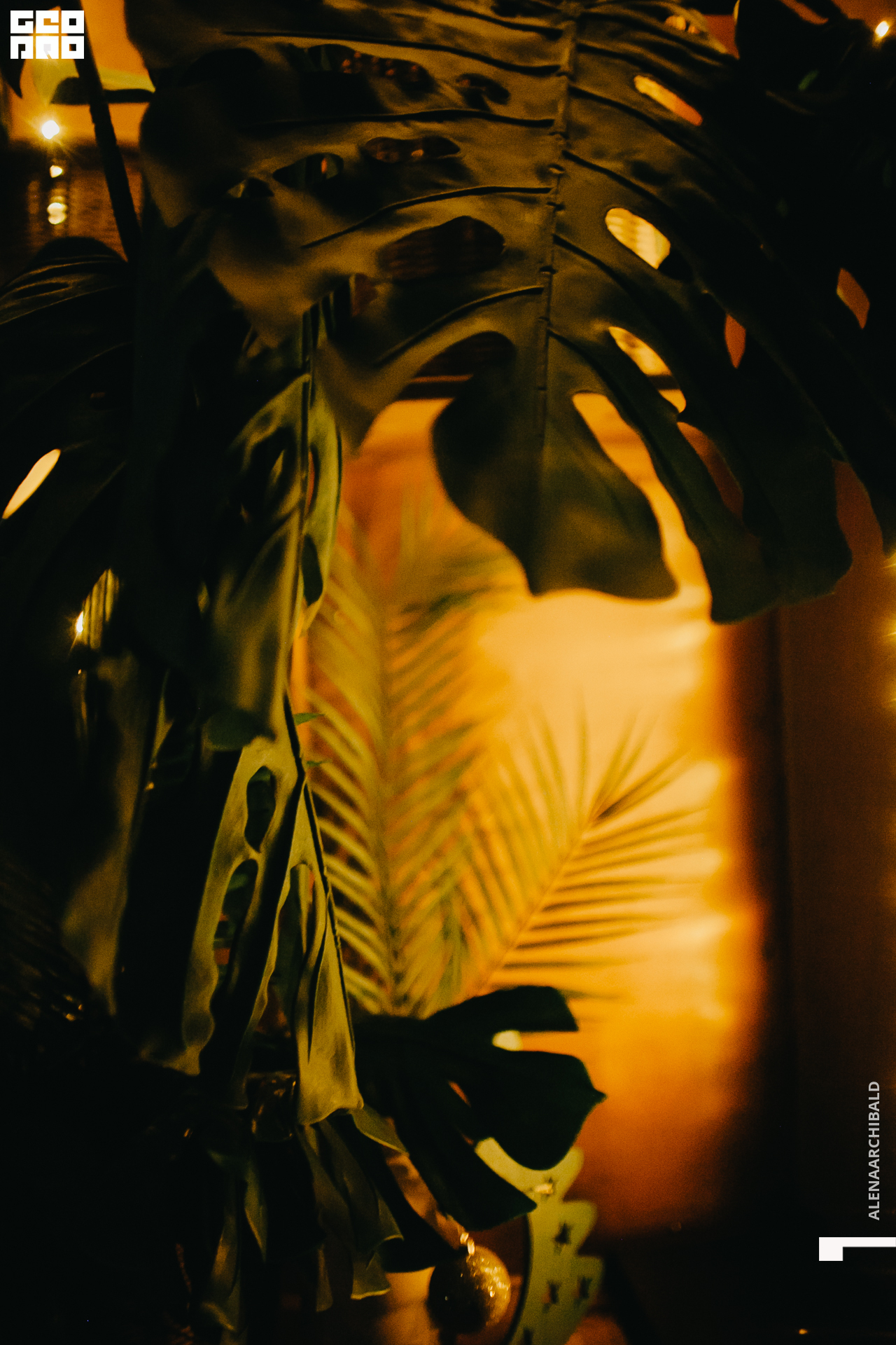 2021-12-25 20-00-41_alenaarchibald097.JPG