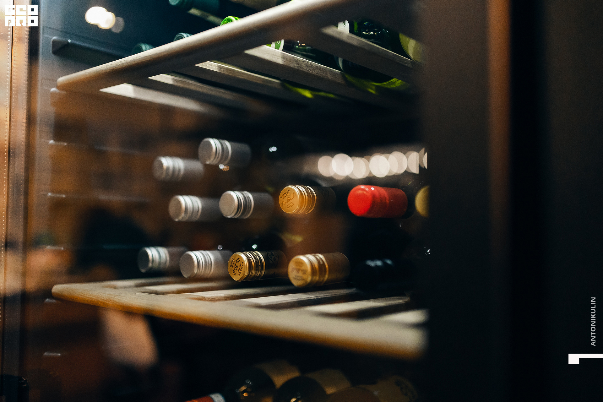 untitled shoot-8101.jpg