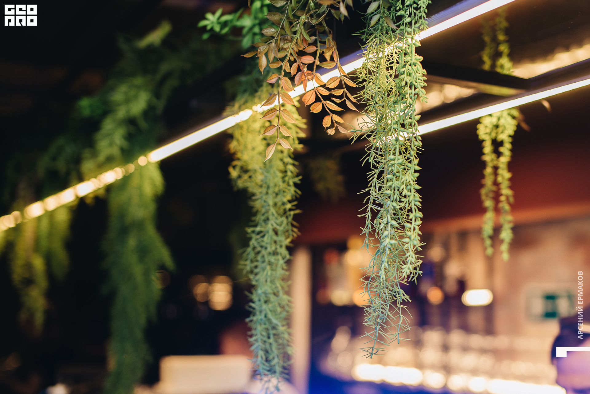 054 2022-10-16-201508_arseniyermakov.jpg