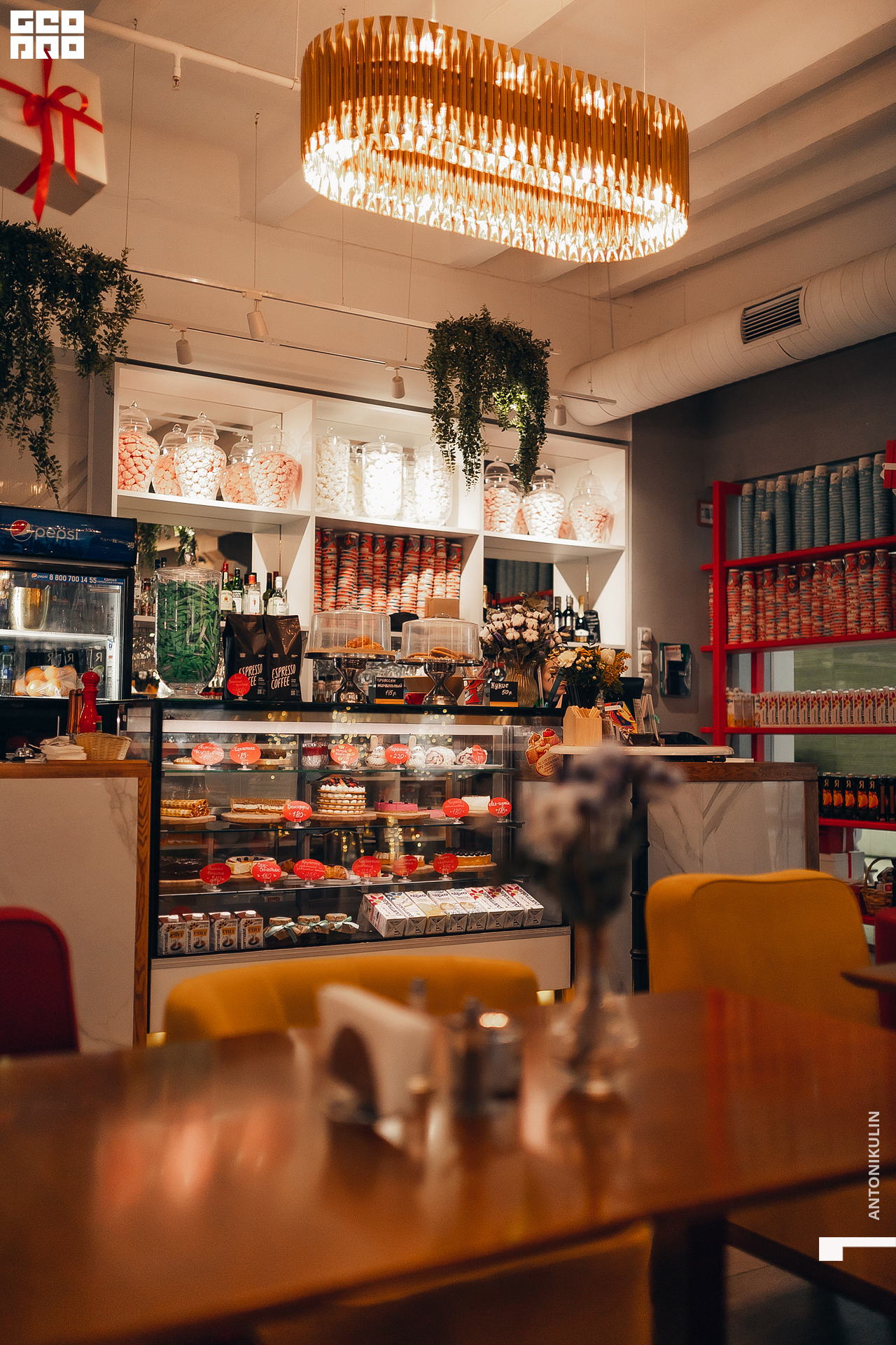 untitled shoot-3672.jpg