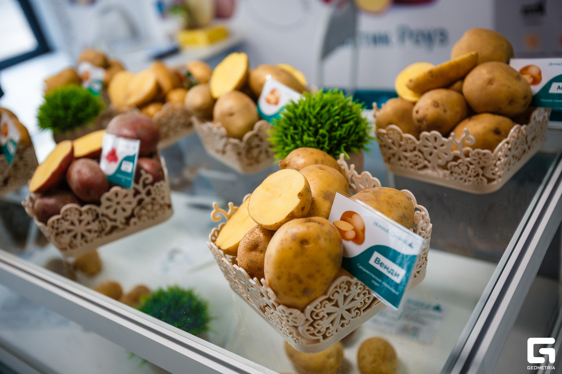 Photo-2001 (370).jpg