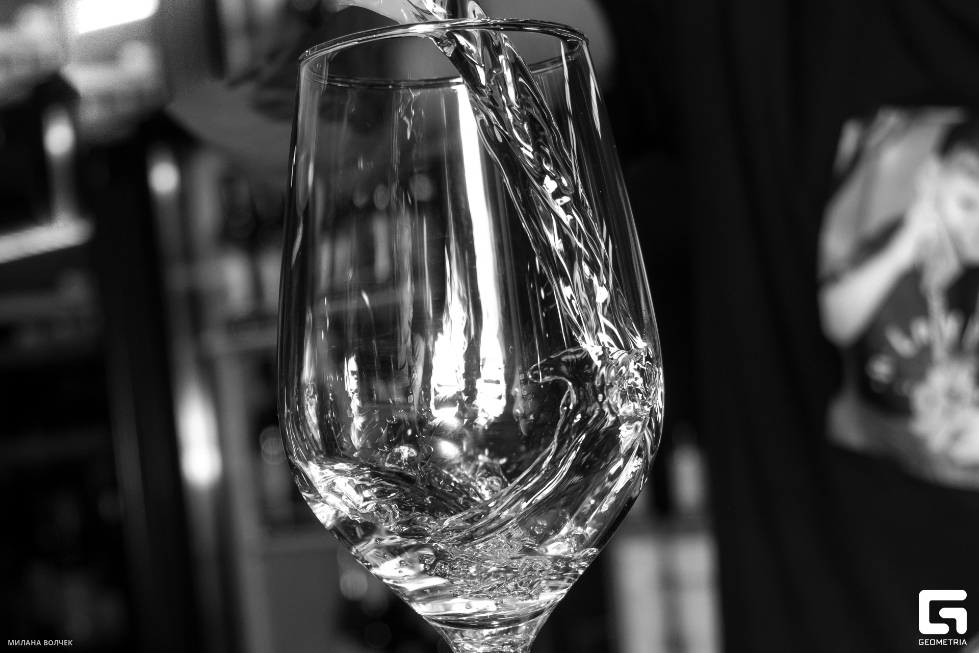 038_20231201 Волчек.jpg