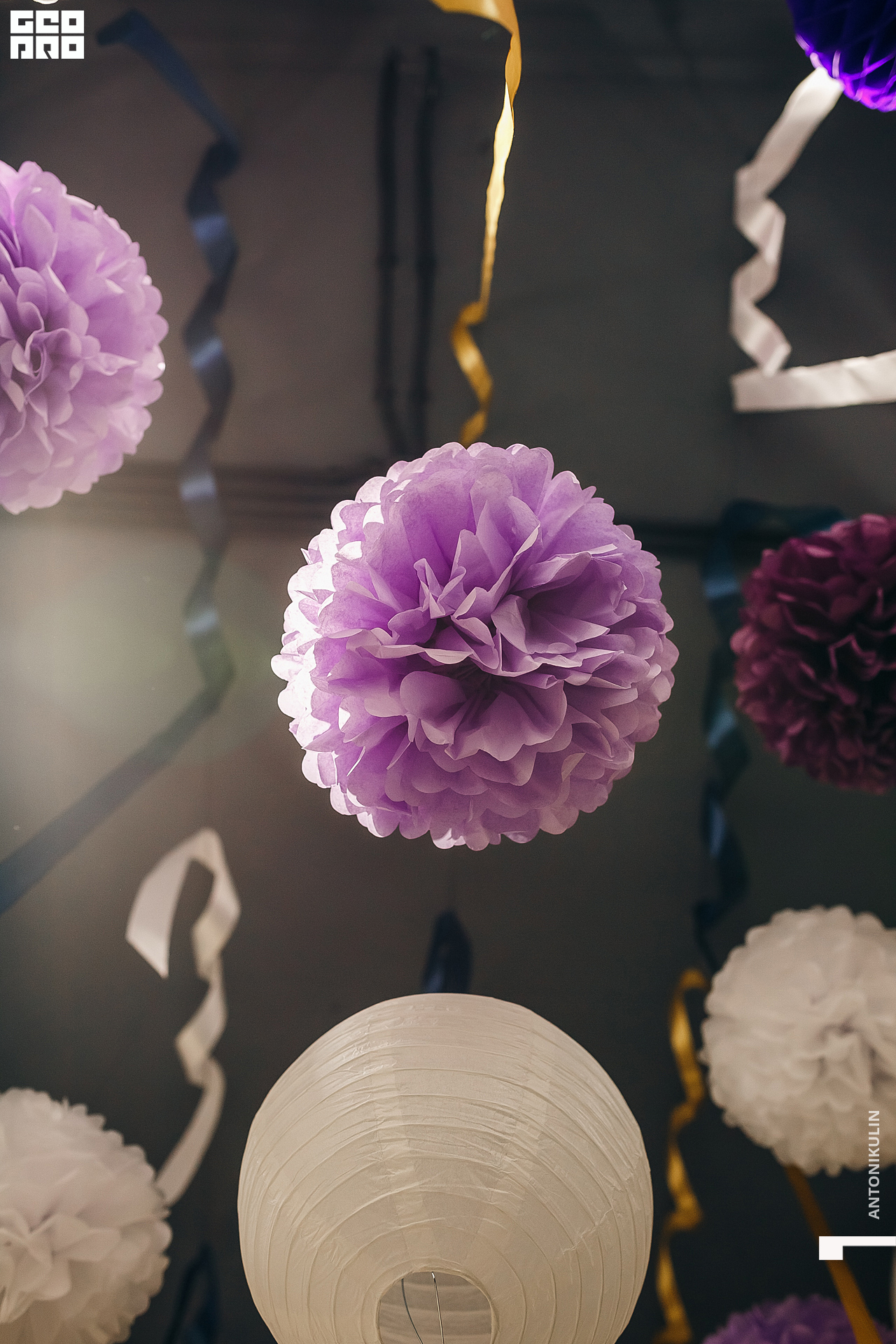 untitled shoot-6375.jpg