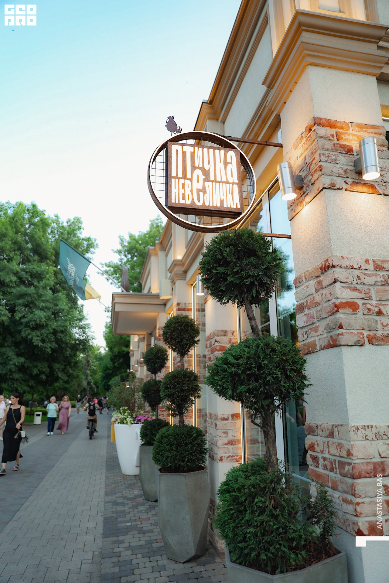 4.06 Птичка-067.jpg