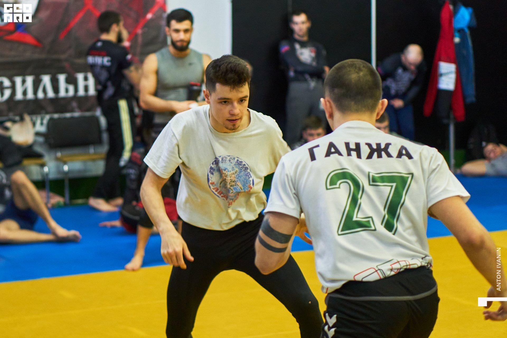 DSC00045 (Копировать).jpg