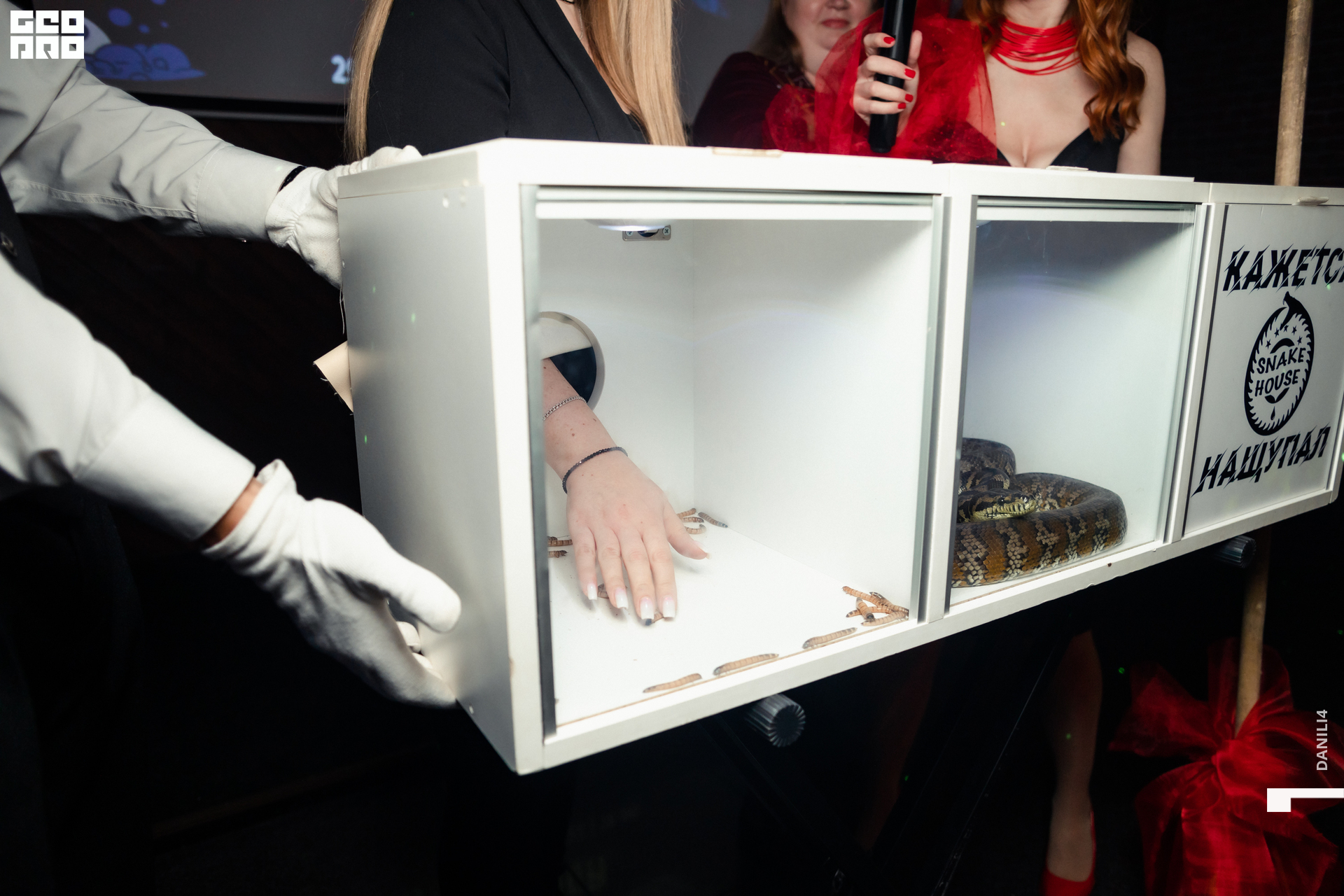 Тортуга хеллоуин 29.10.22-75.jpg