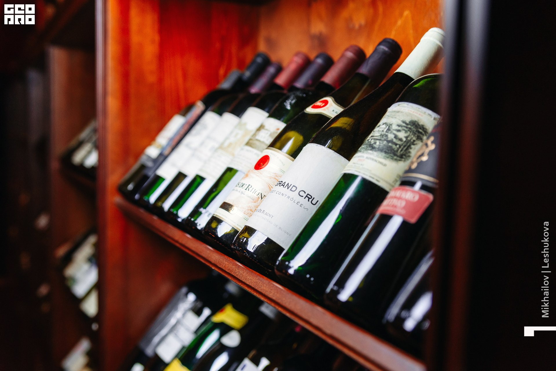 122-07-02-2021-02-55-Optimist - Mikhlesh - 2560.jpg