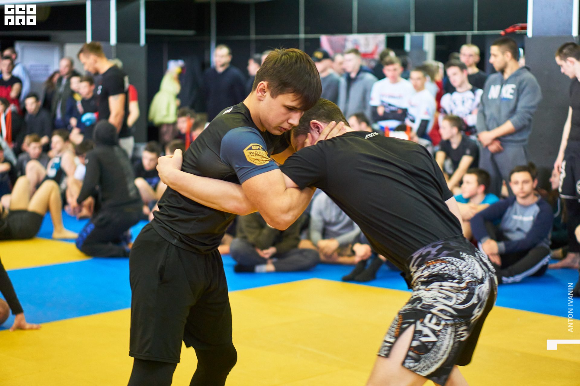 DSC08617 (Копировать).jpg