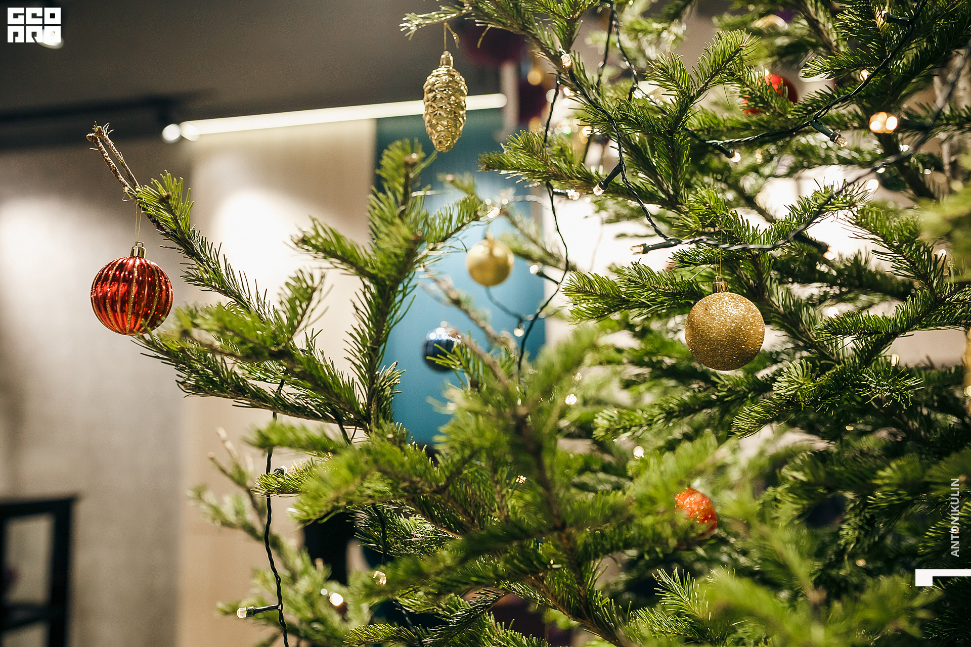 untitled shoot-6303.jpg