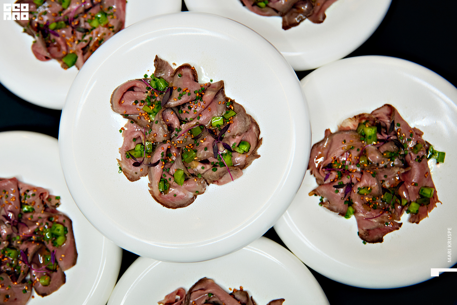 _ARI1313 копия.jpg