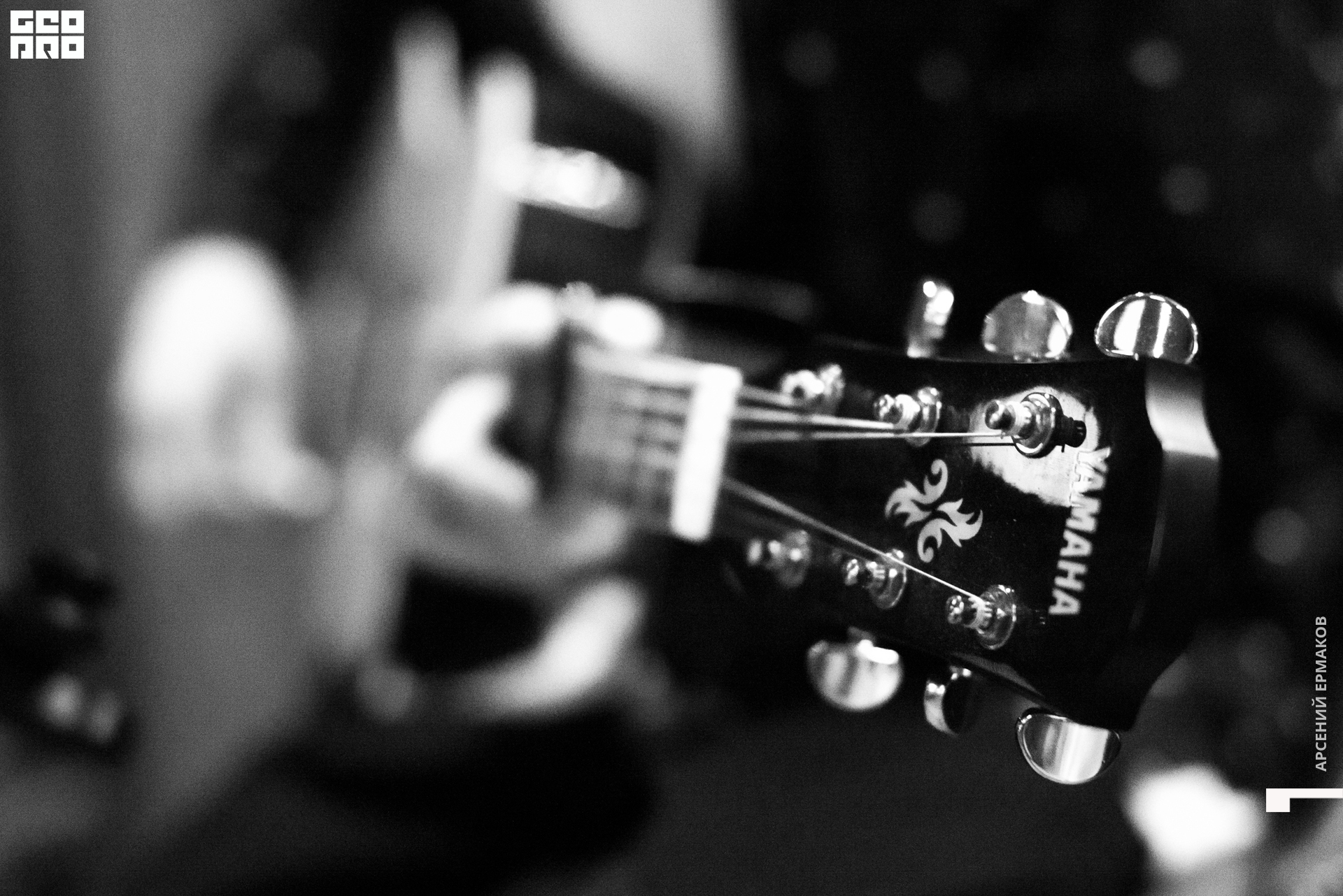 022 112622194934_arseniyermakov.jpg