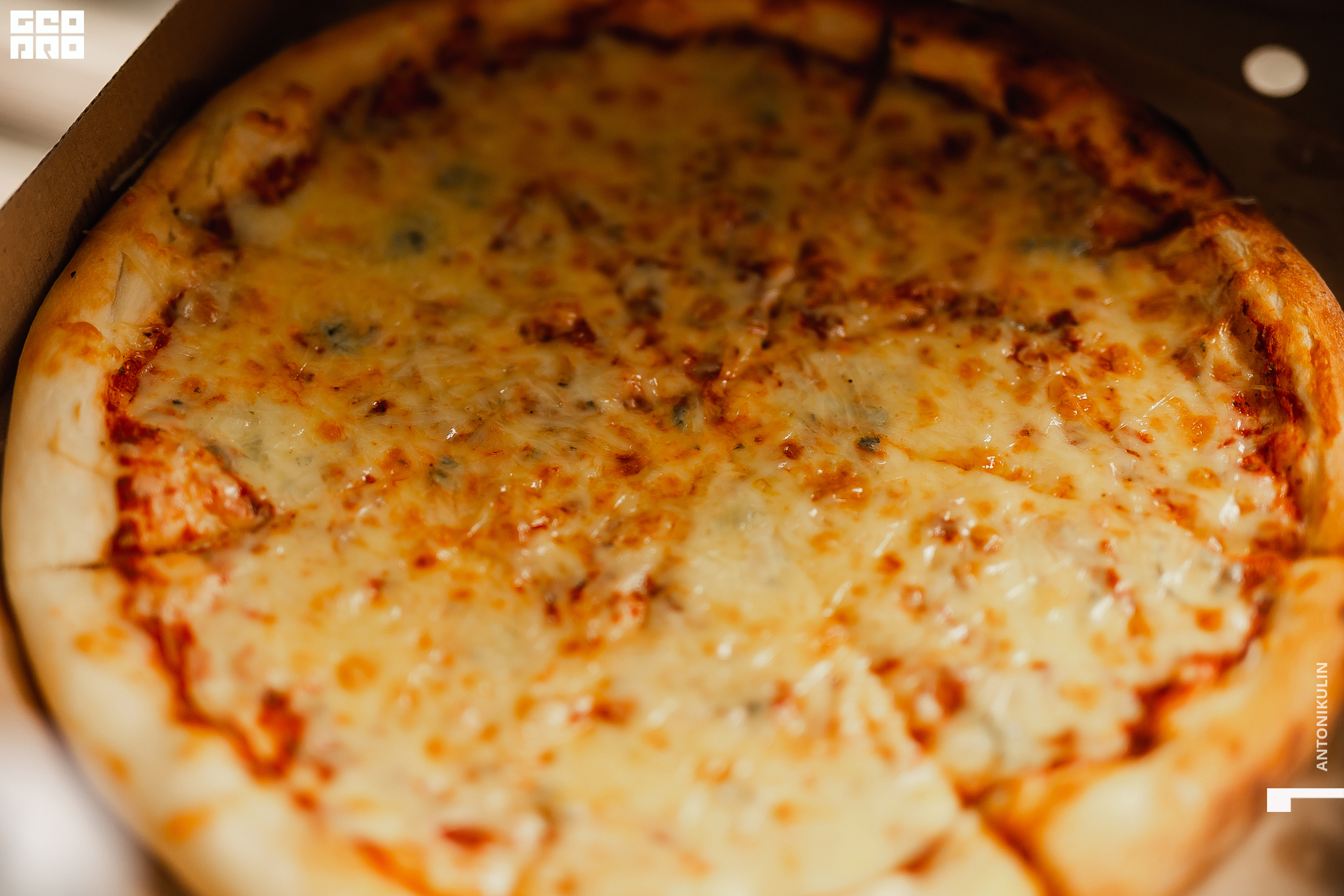 untitled shoot-3388.jpg