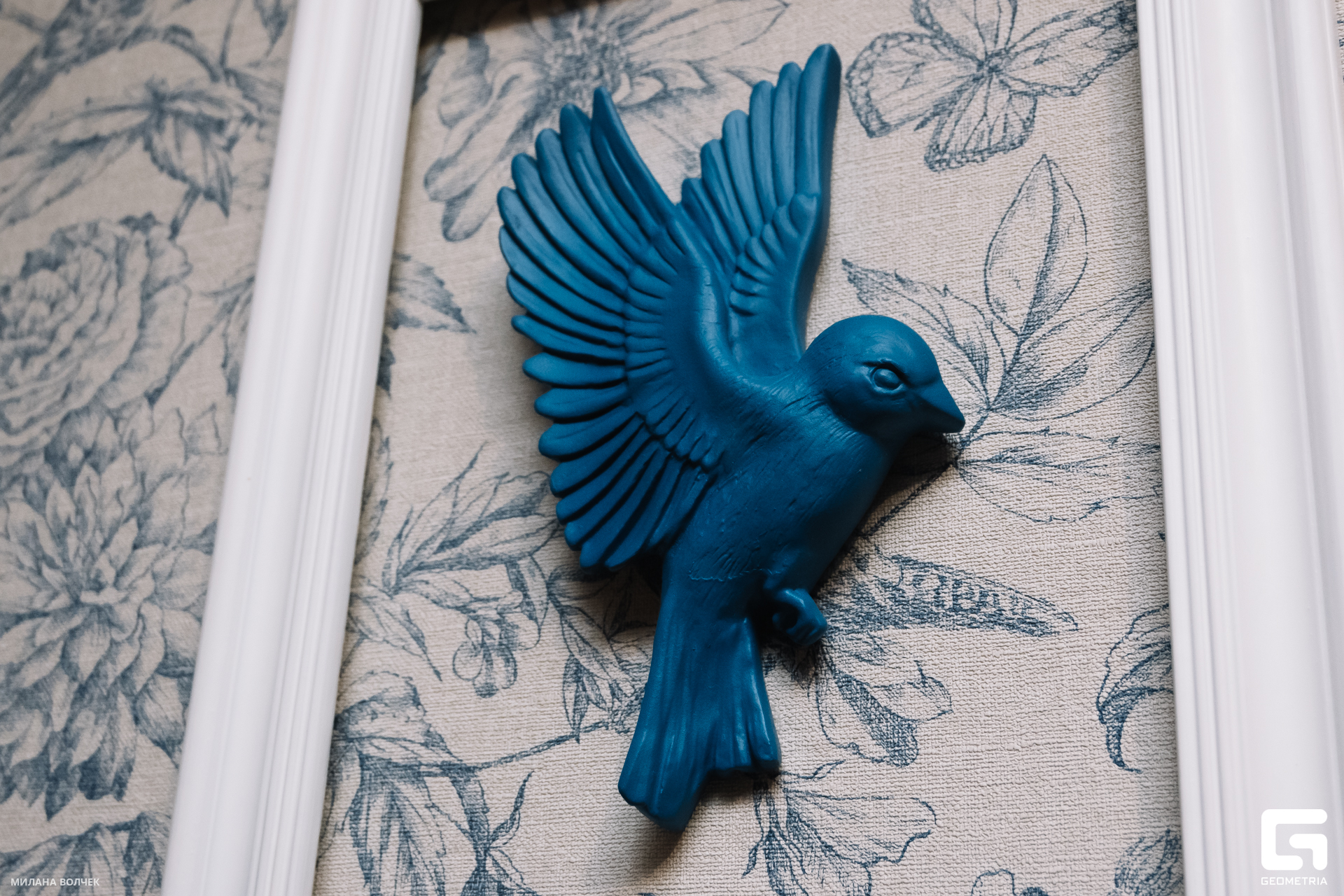 007_20231124 Волчек.jpg