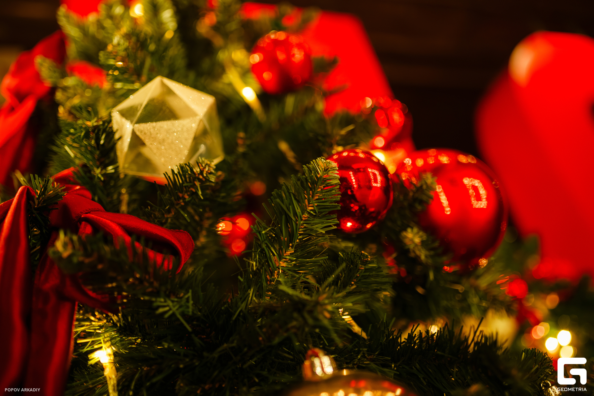 IMG_1836-Улучшено-Ум. шума.jpg