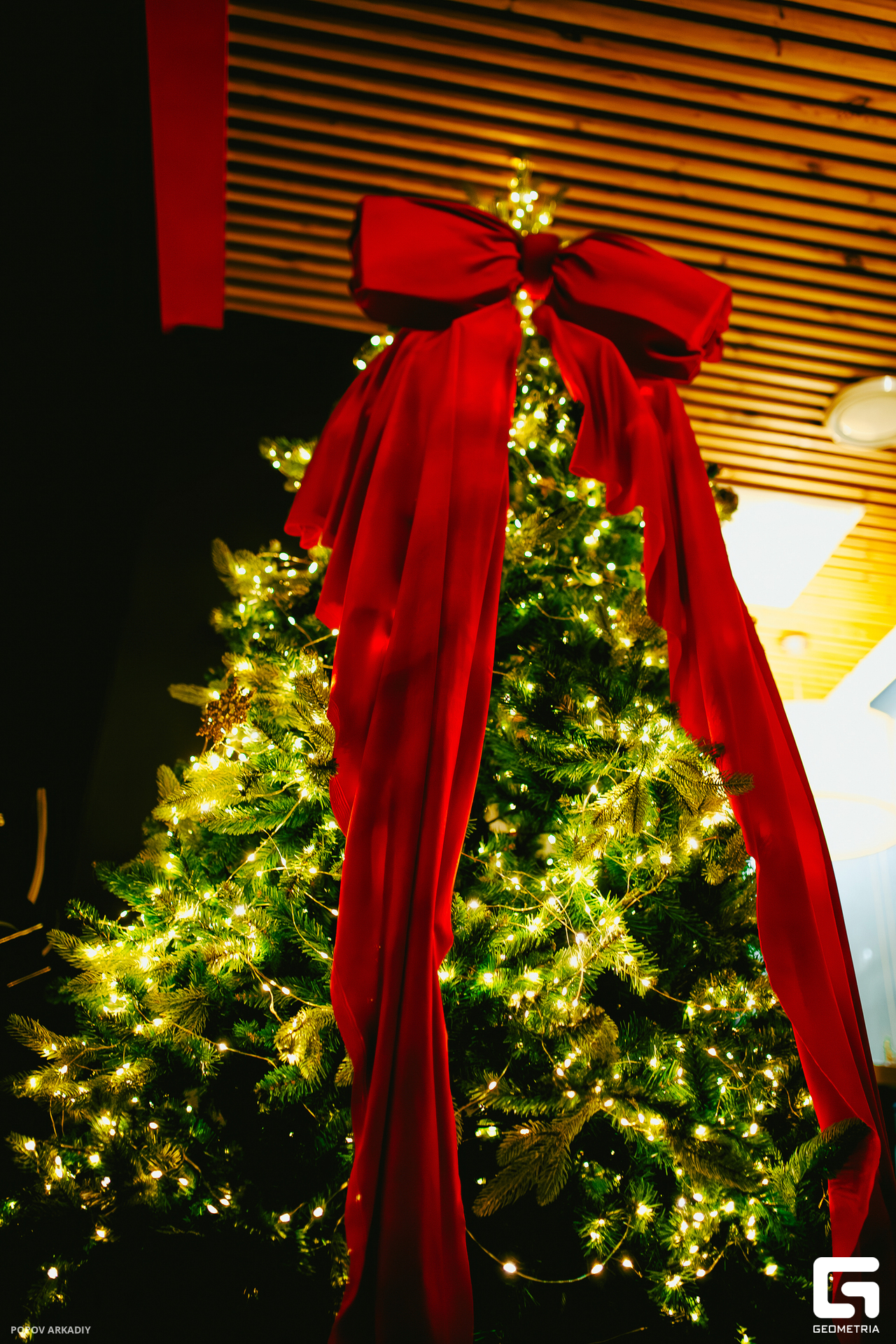 IMG_1736-Улучшено-Ум. шума.jpg