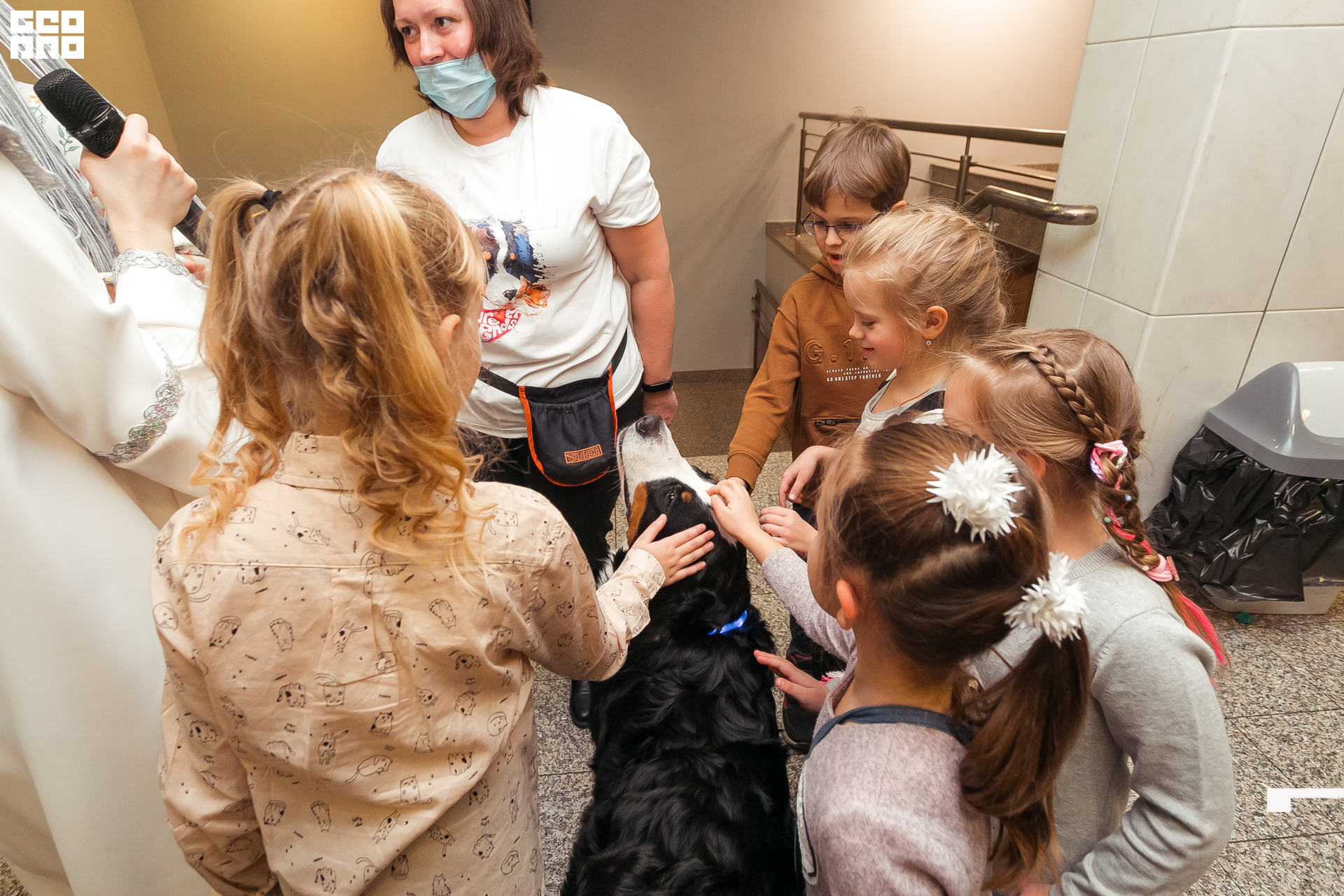 185-20211211-53-11.12.21 - Ёлки.jpg