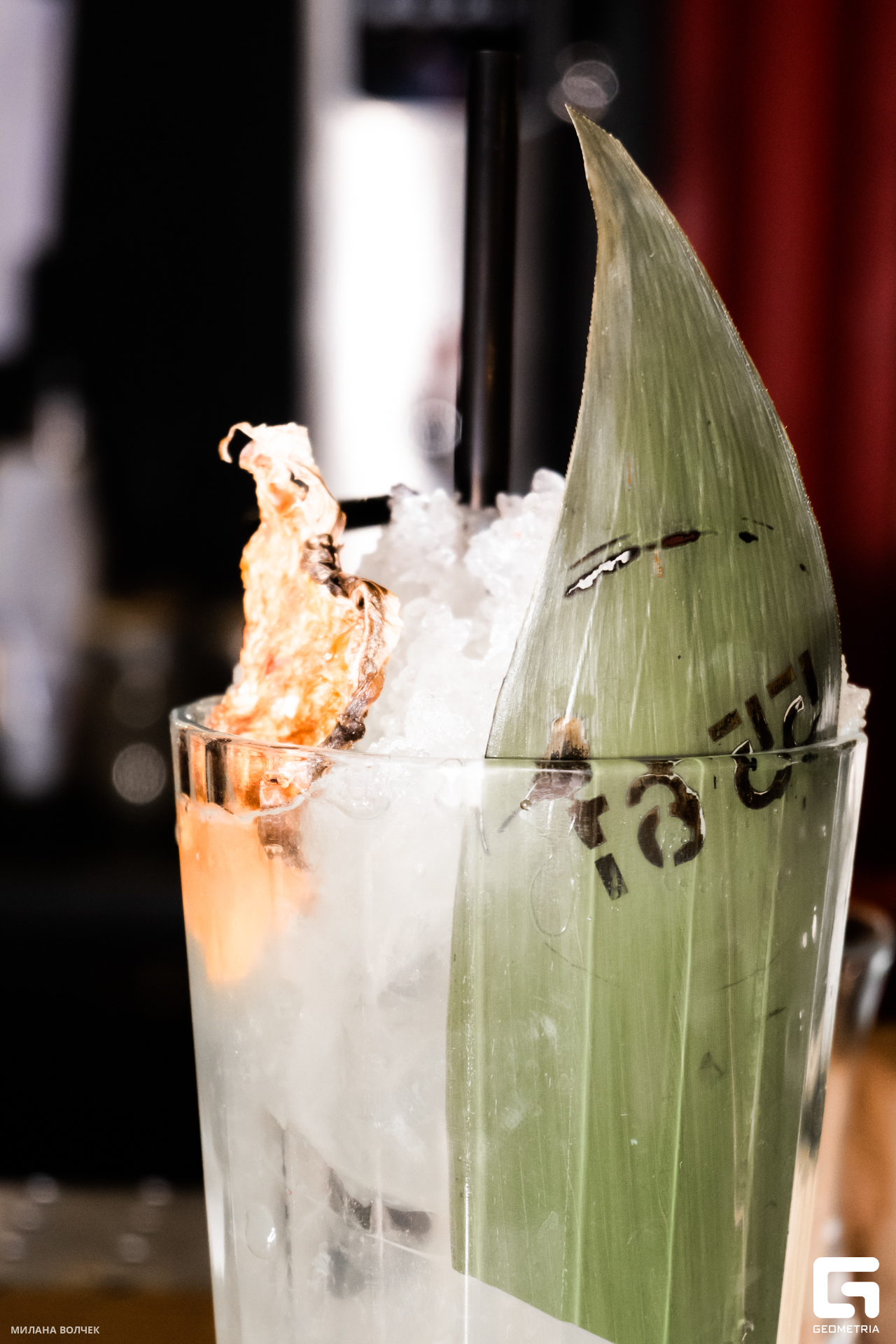 010_20231027 Волчек.jpg