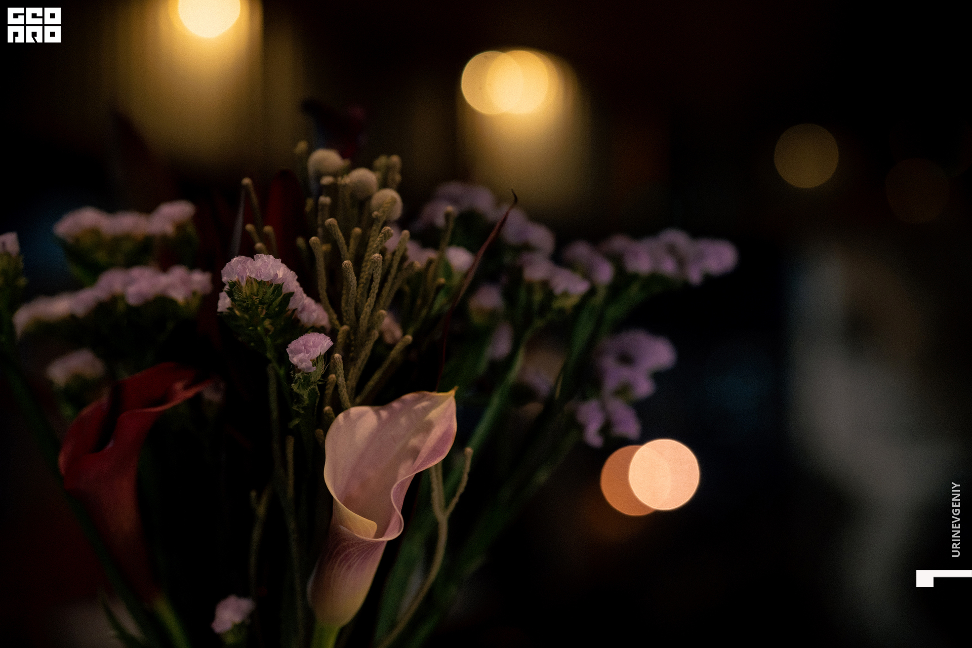 28.10.2021. Kraken (0).jpg