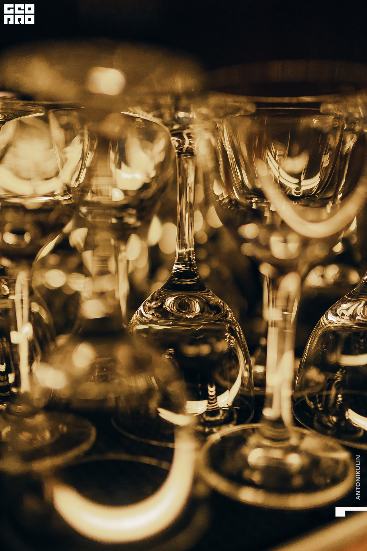 untitled shoot-9606.jpg