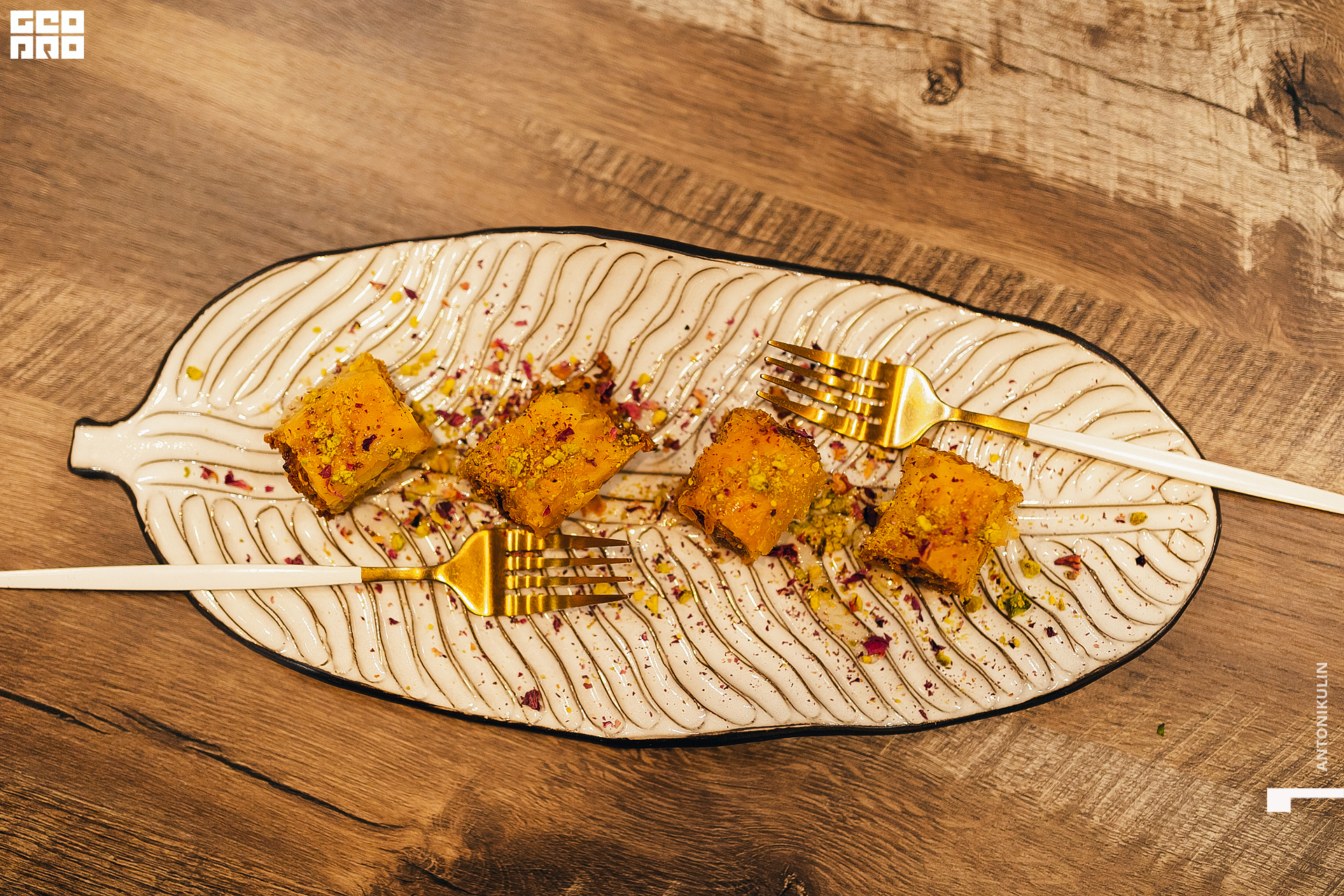 untitled shoot-5821.jpg