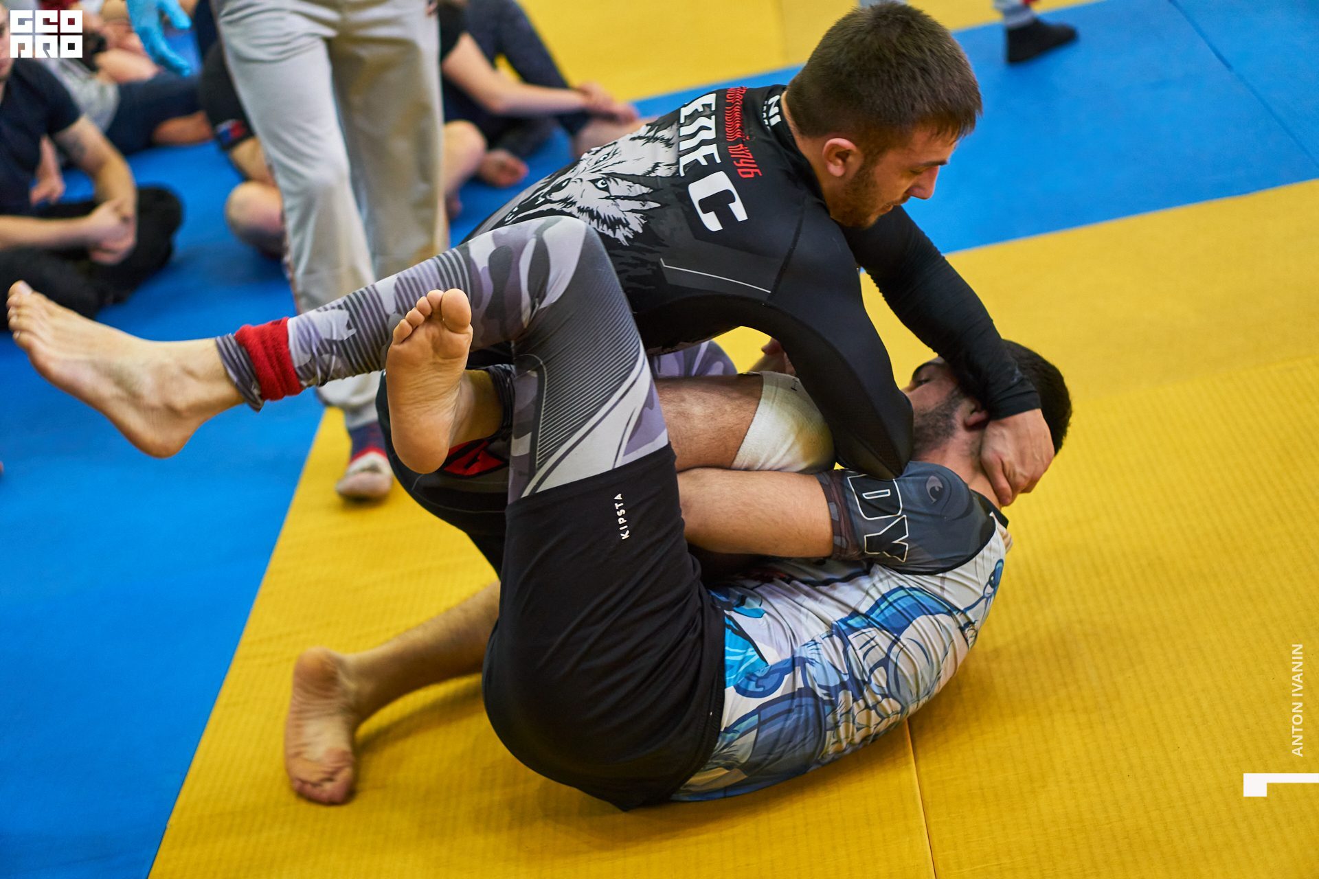 DSC09410 (Копировать).jpg