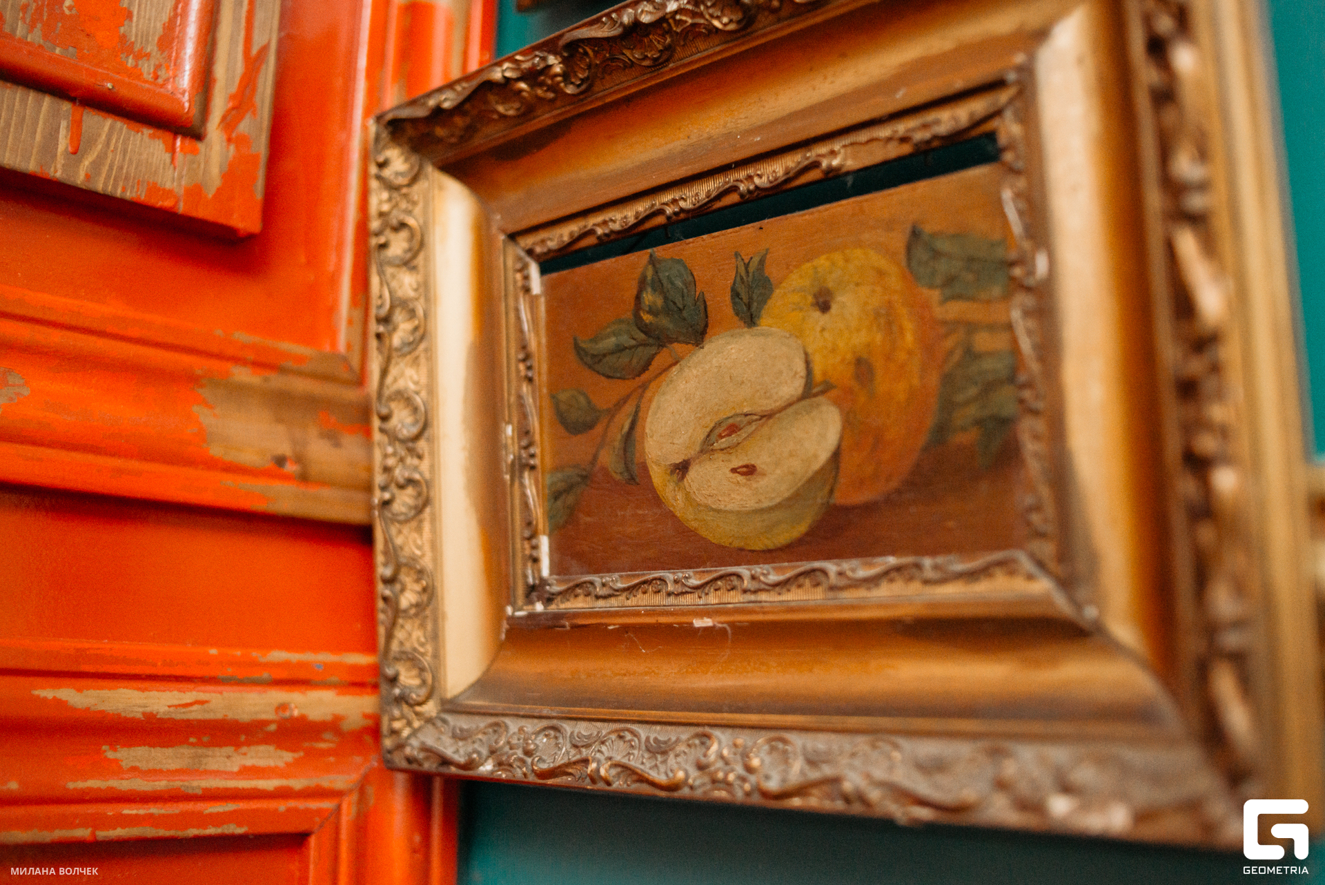 028_20230825 Волчек.jpg