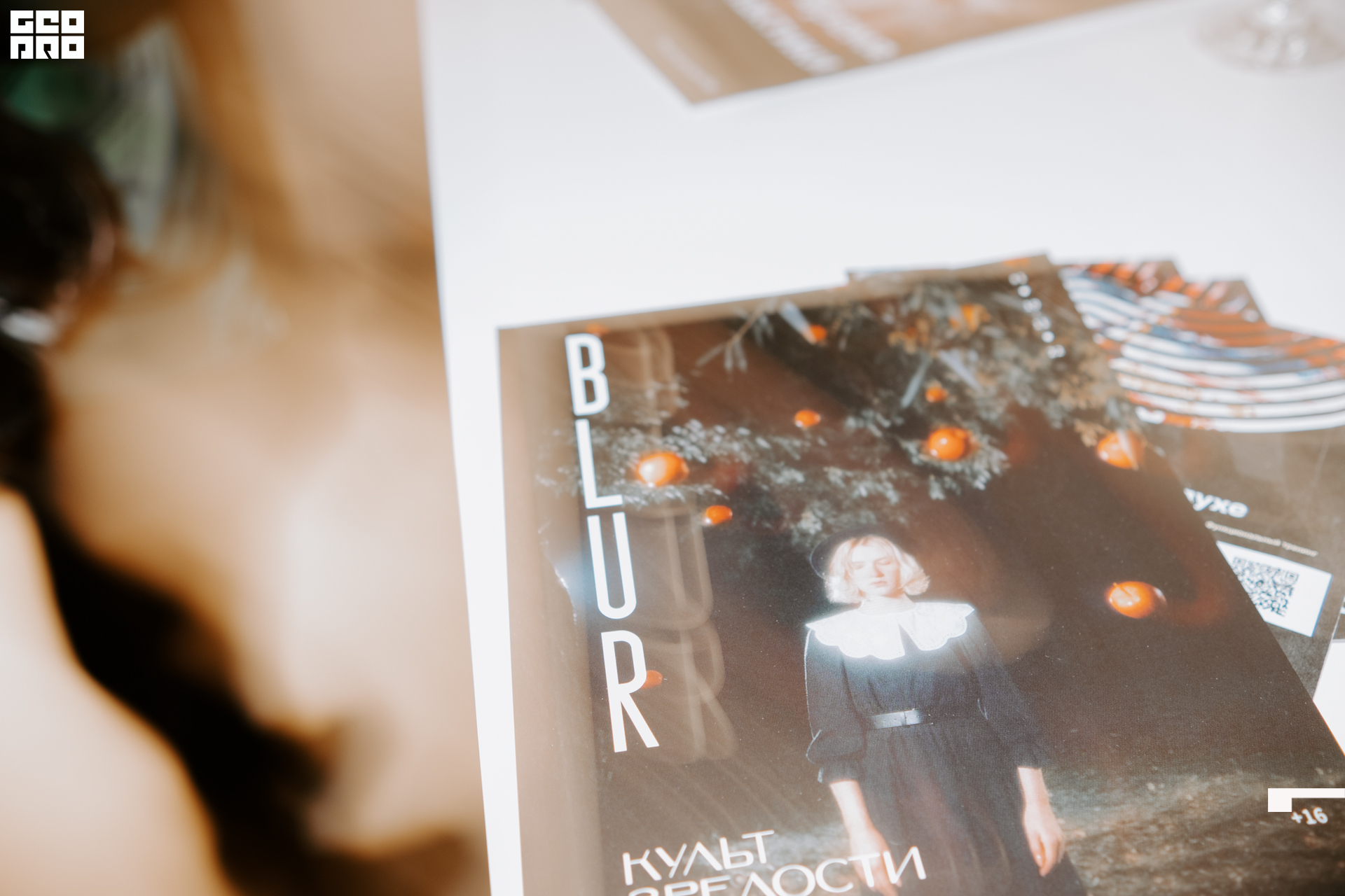 БЛЮР00153.jpg