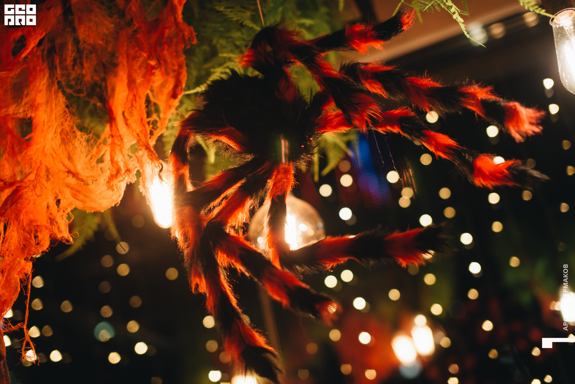 005 2022-10-31-223400_arseniyermakov.jpg