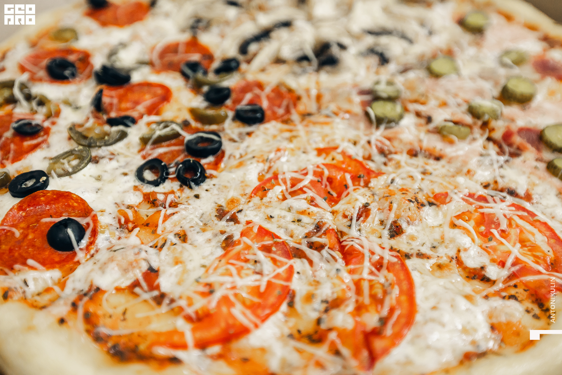 untitled shoot-2749.jpg