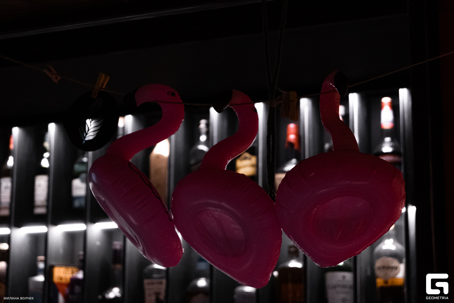 012_20231201 Волчек.jpg