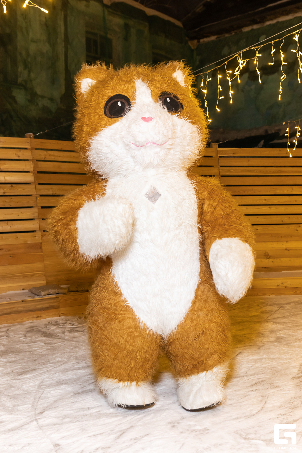 2023.12.27 Каток 066.jpg