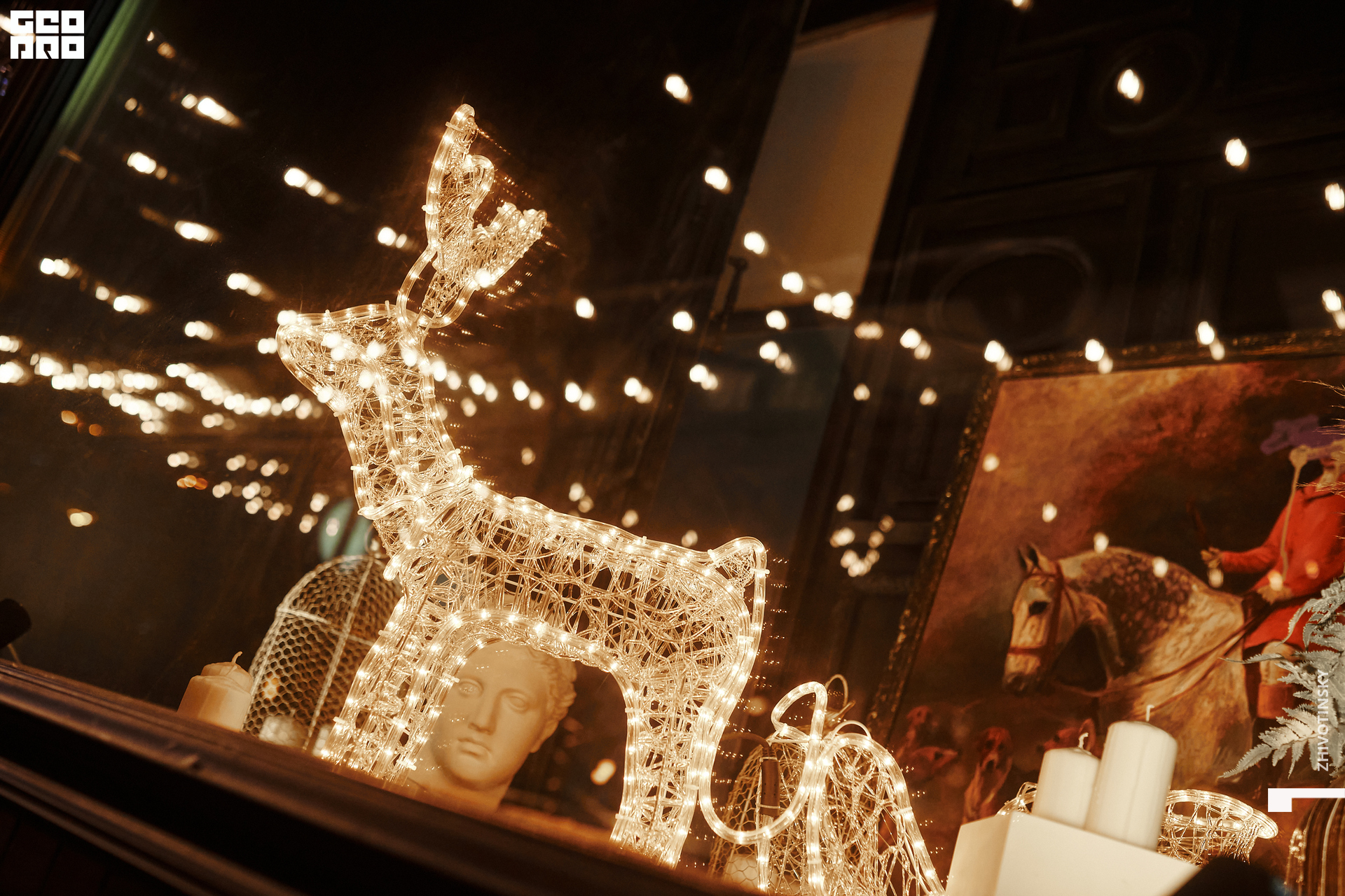 002_01-01-22_1-02 _Zhivotinsky.jpg