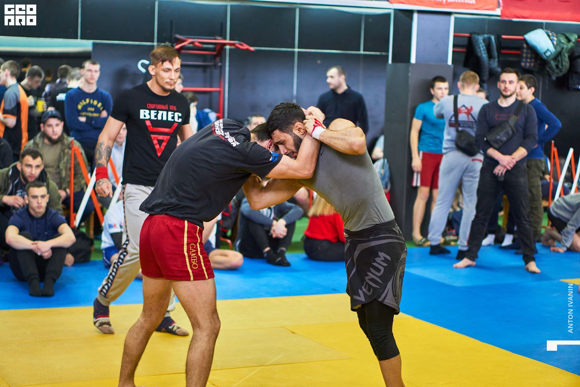 DSC09920 (Копировать).jpg