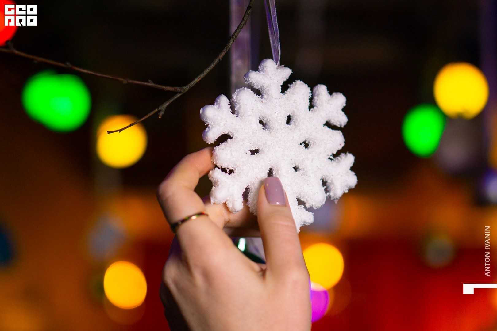 DSC03909 (Копировать).jpg